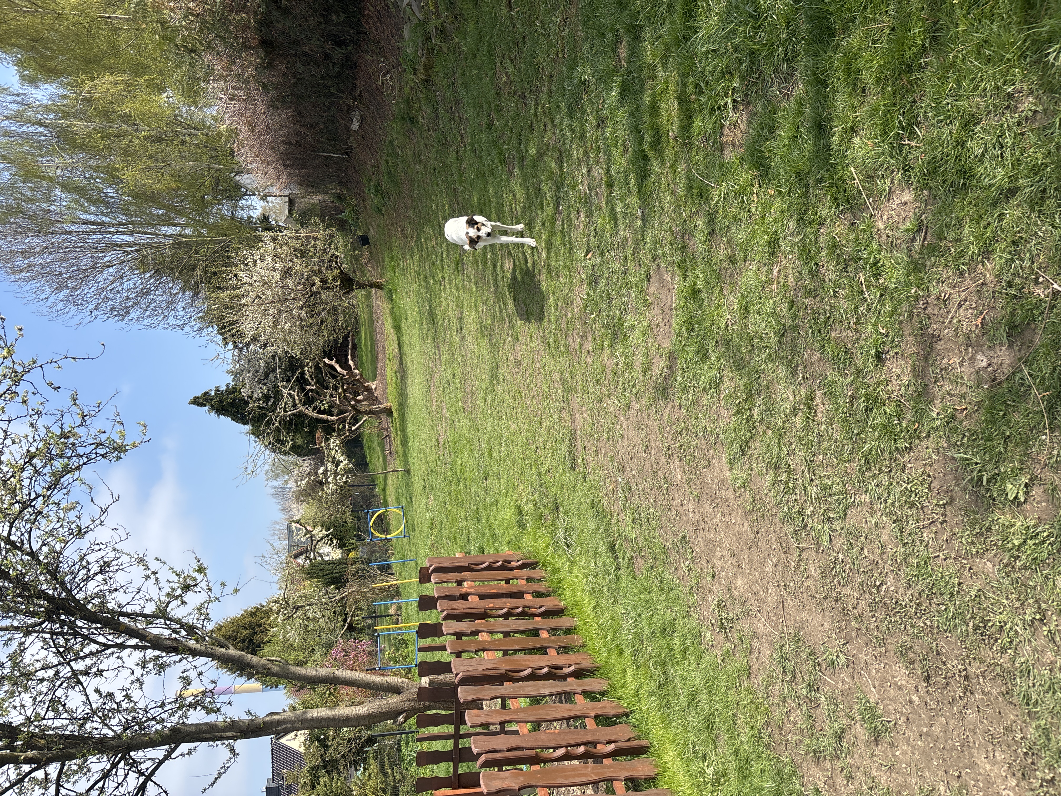 image-18