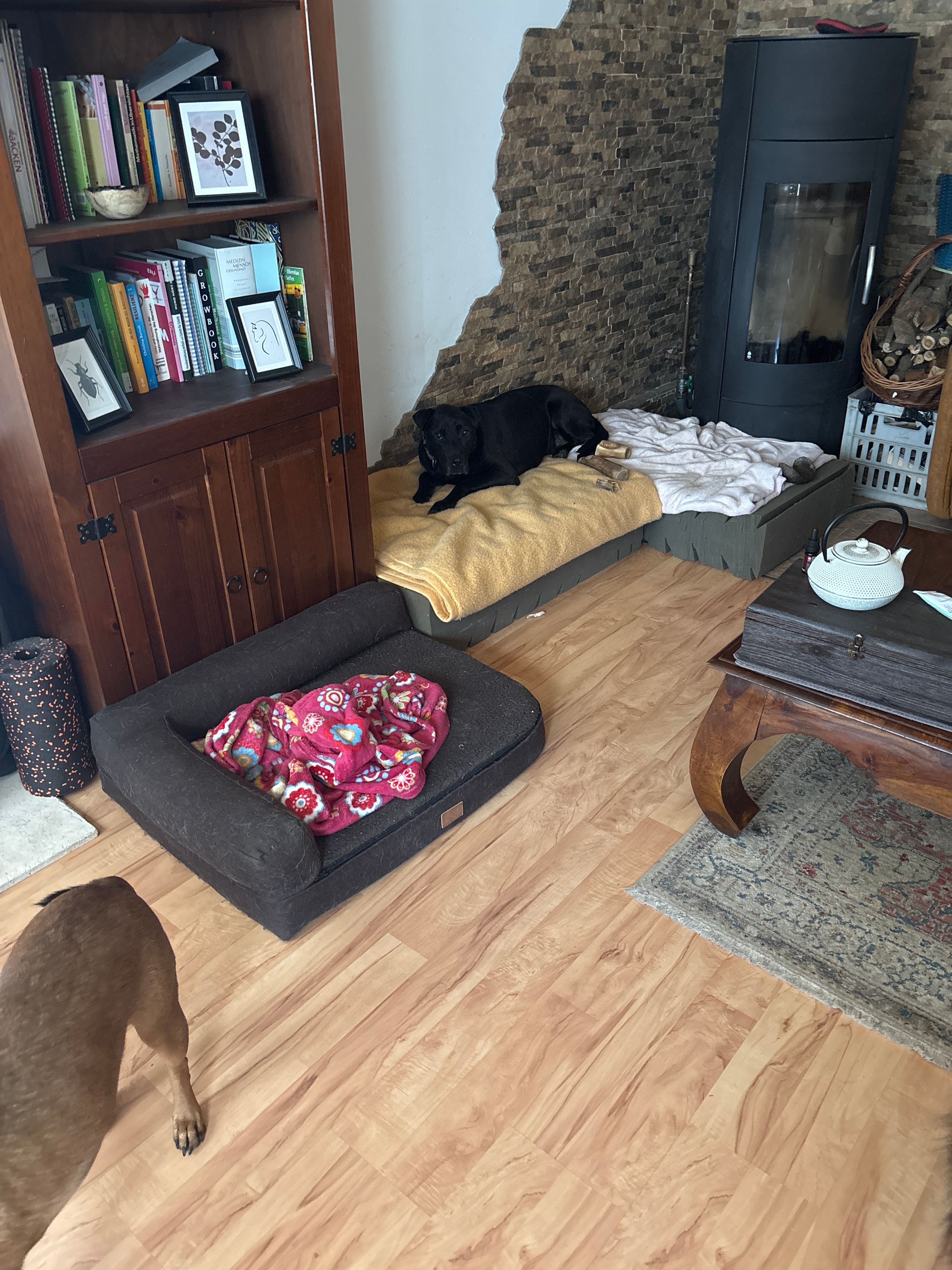 image-19