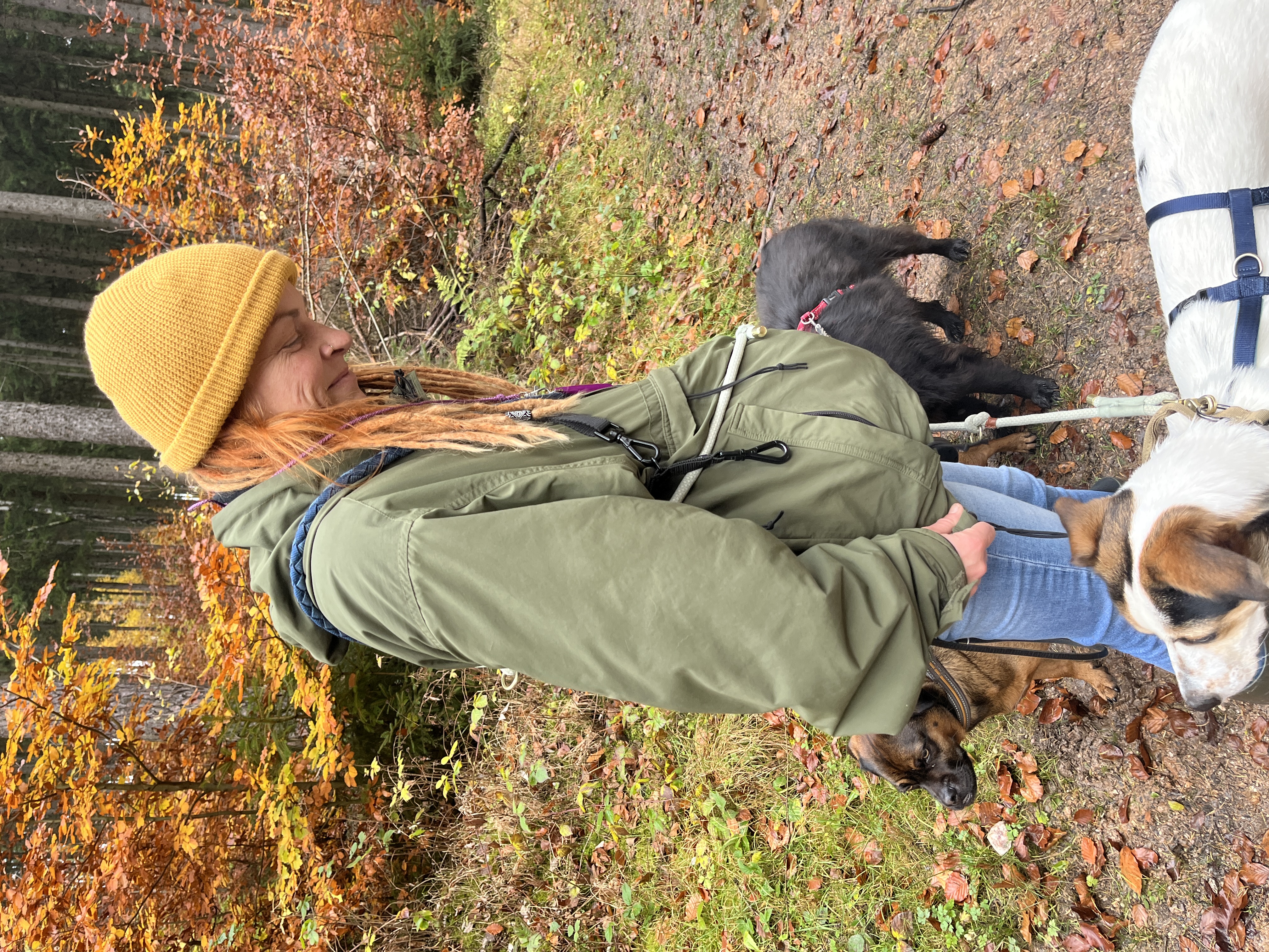 image-7