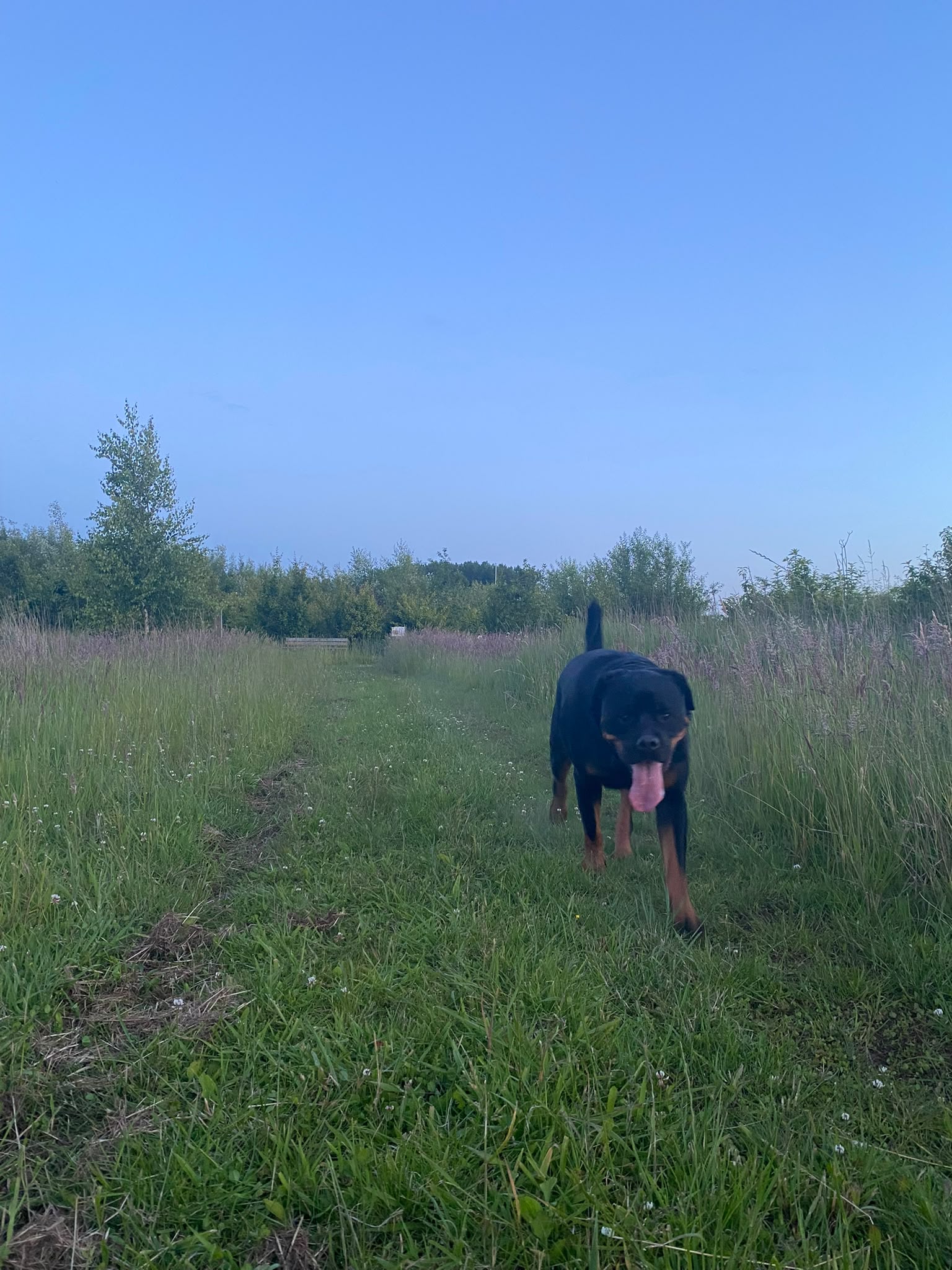 image-16