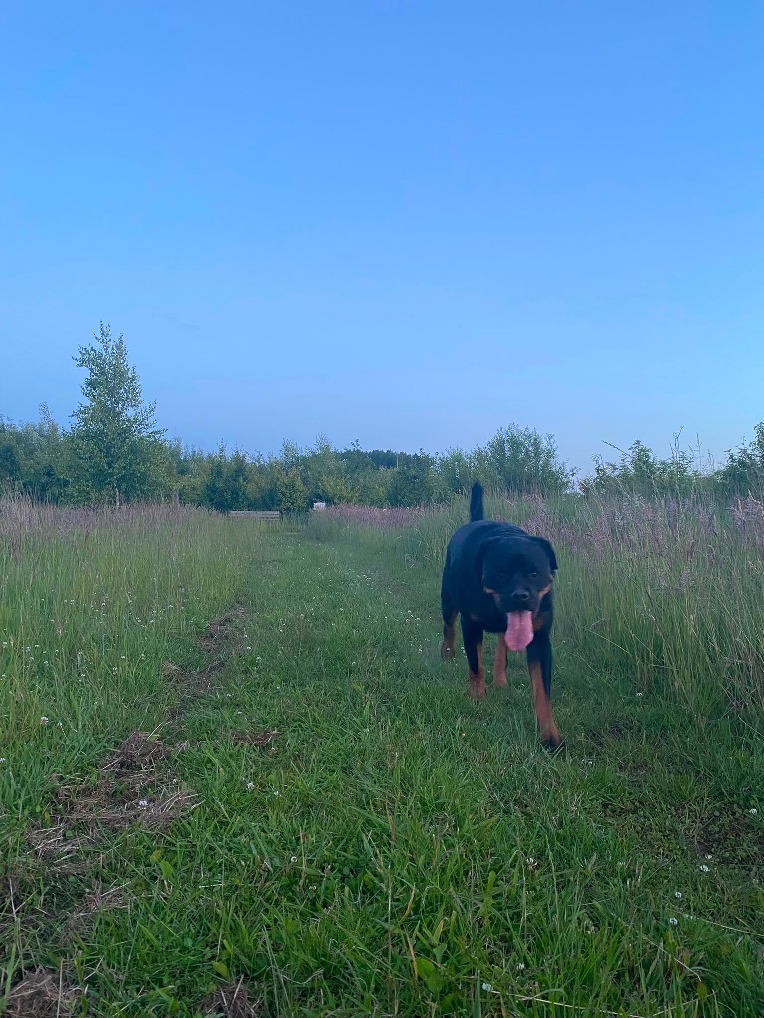 image-16