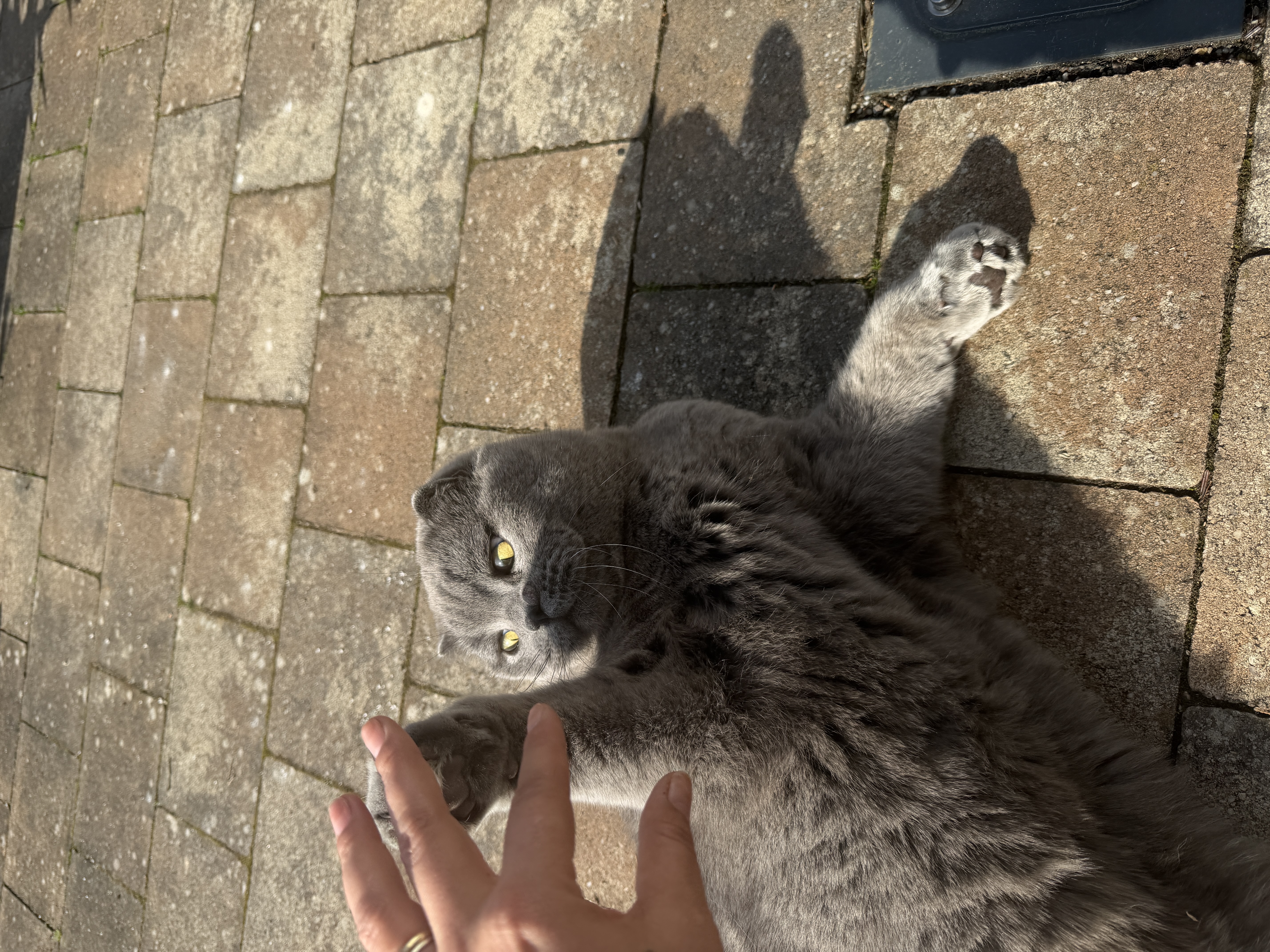 image-11