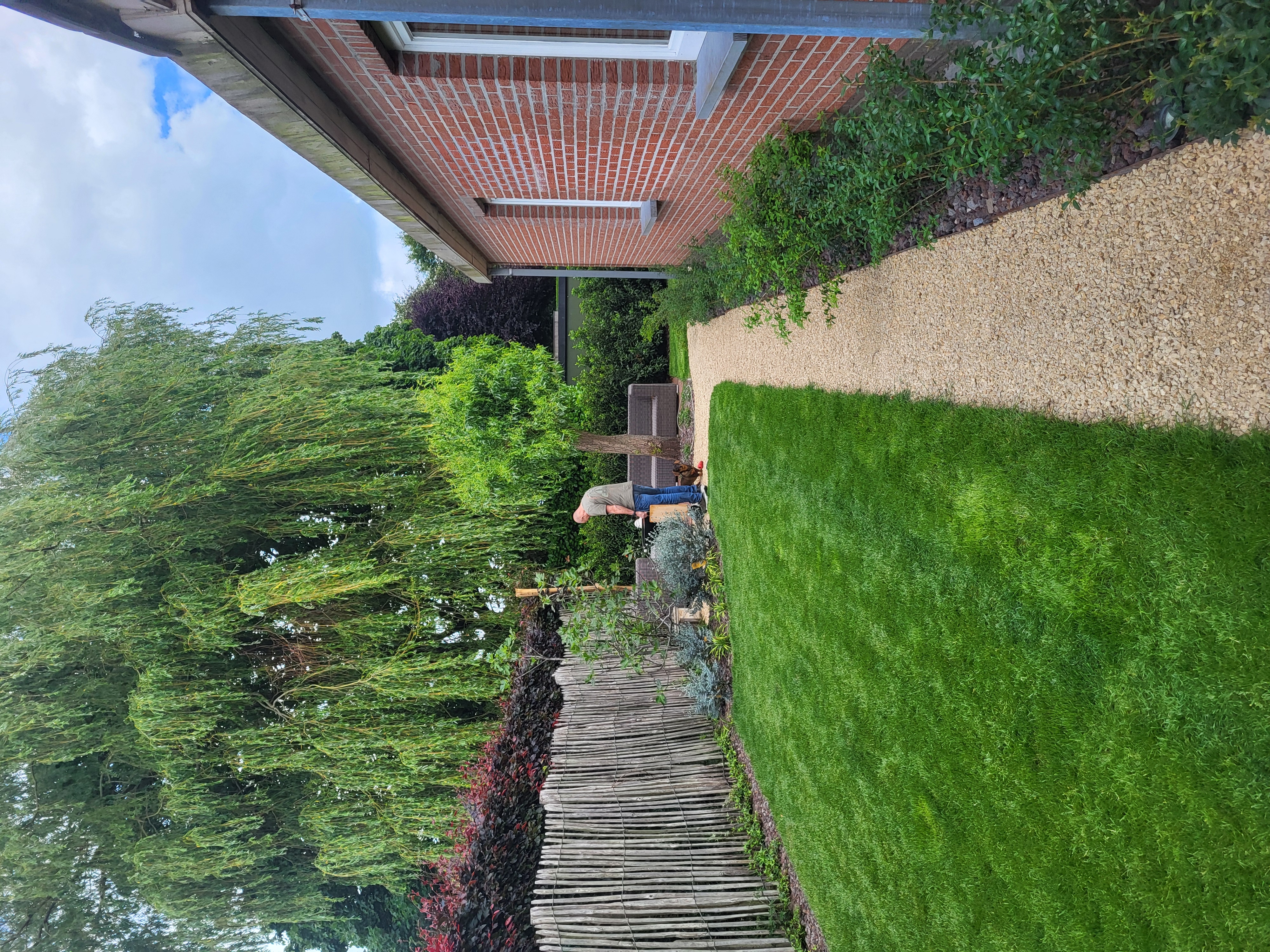 image-14