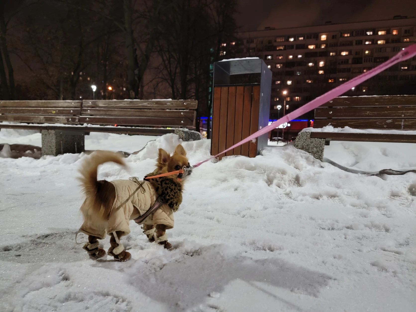 image-8