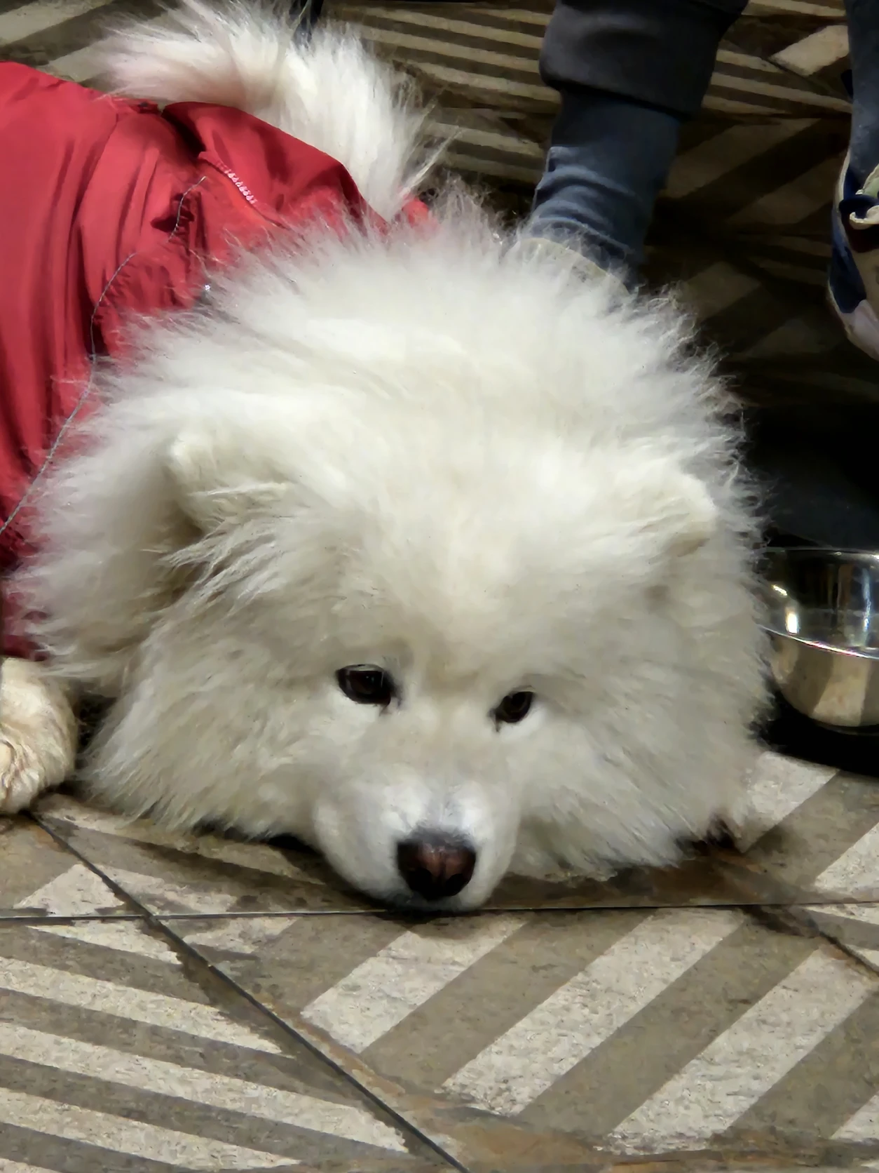 image-10
