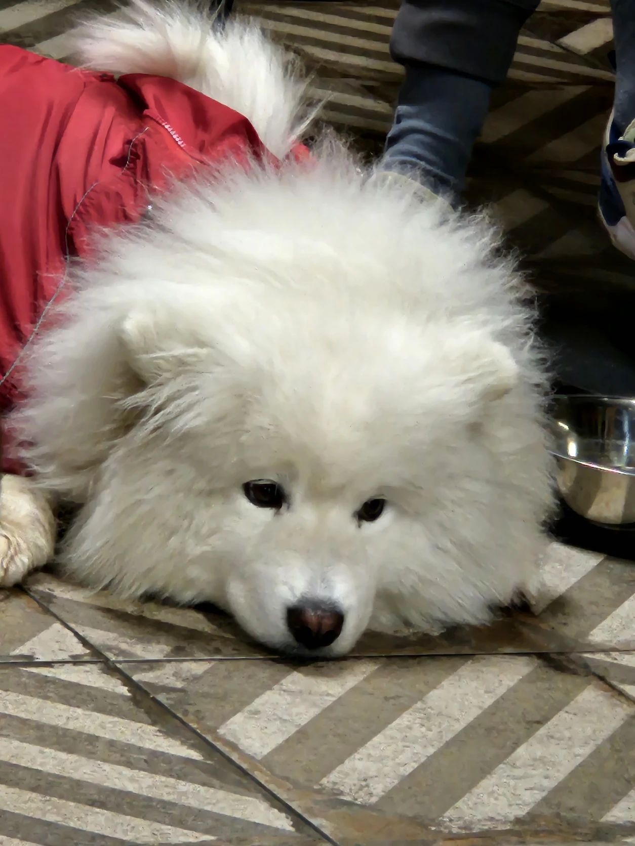 image-10