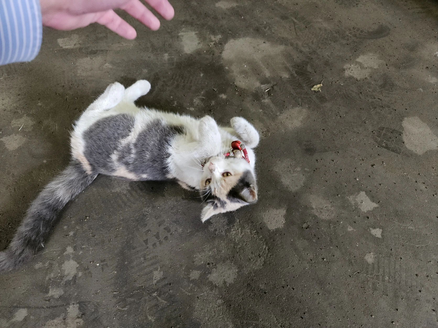 image-9