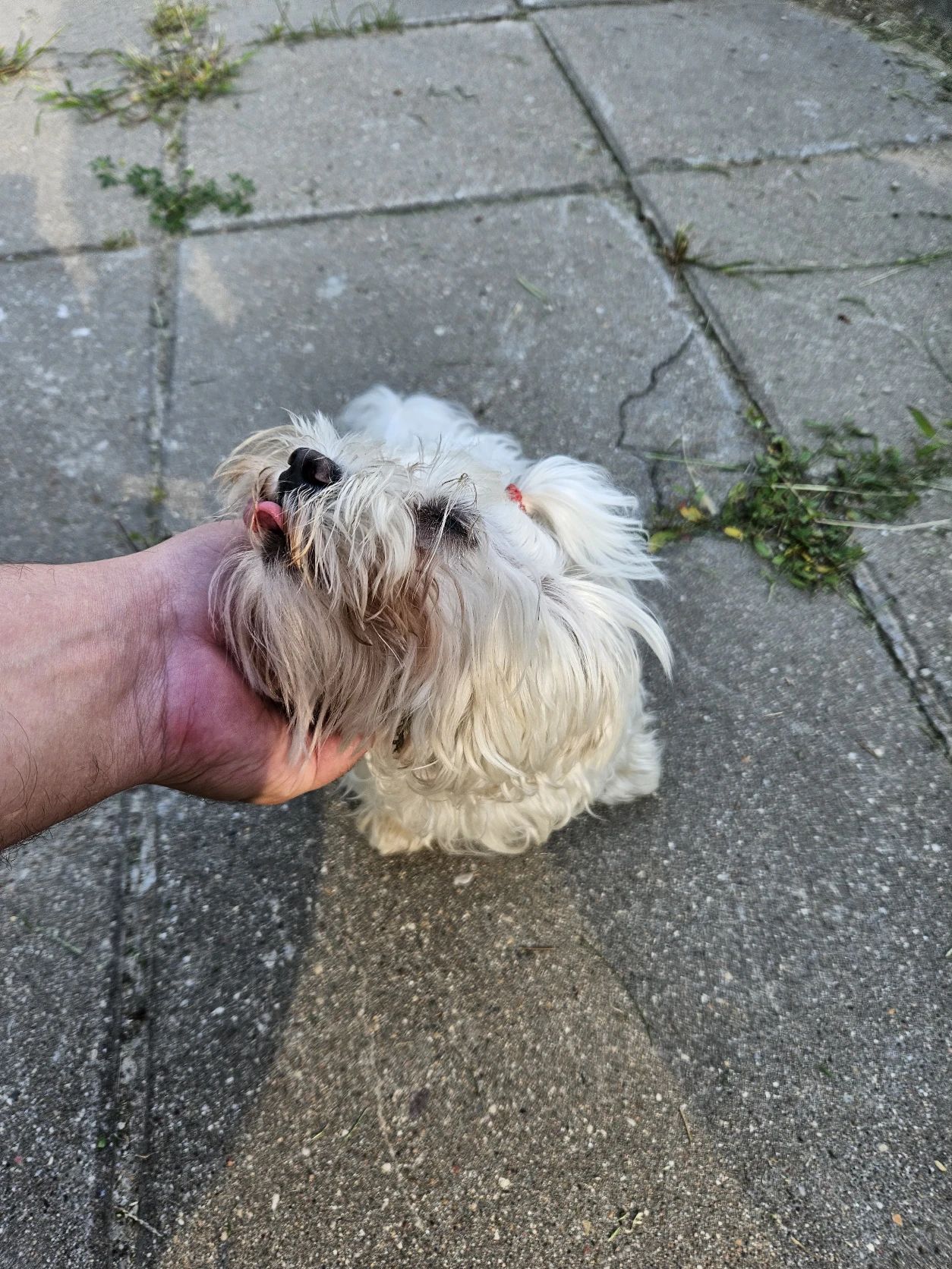image-7