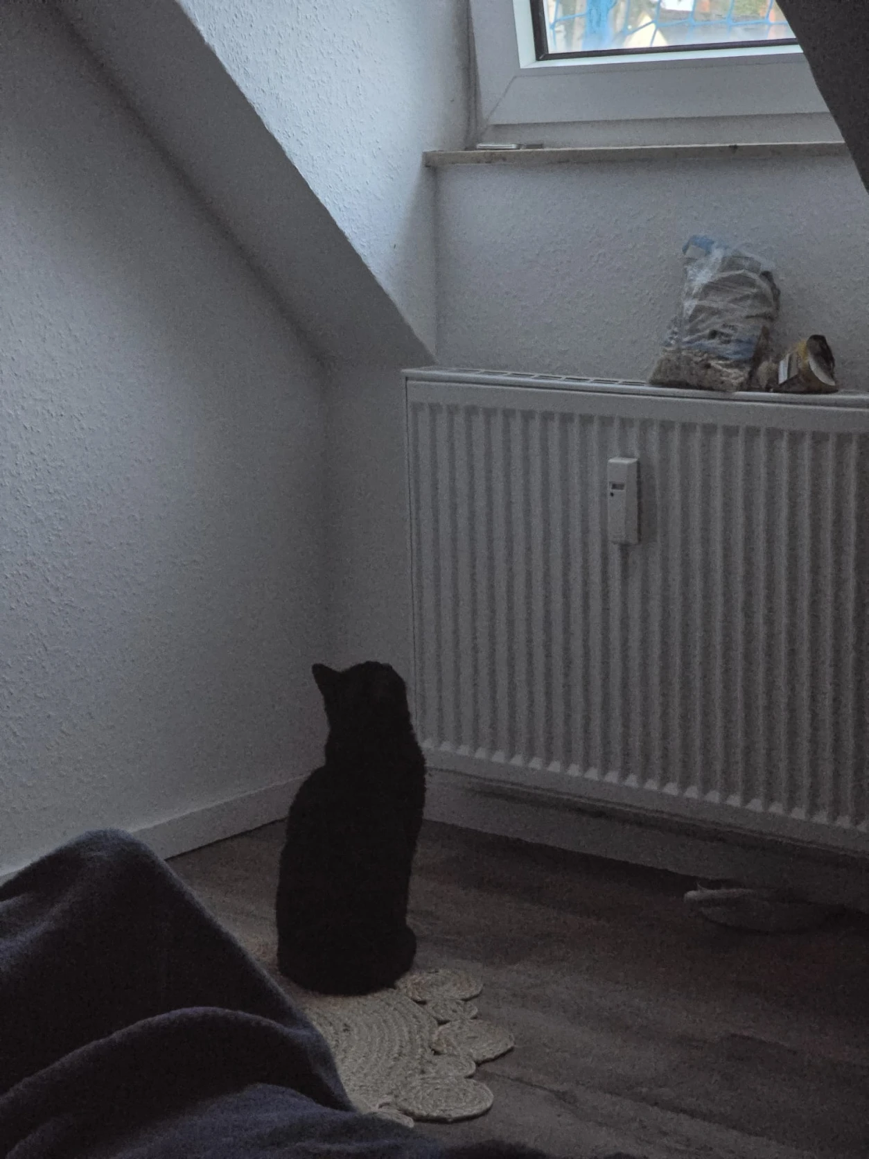 image-14