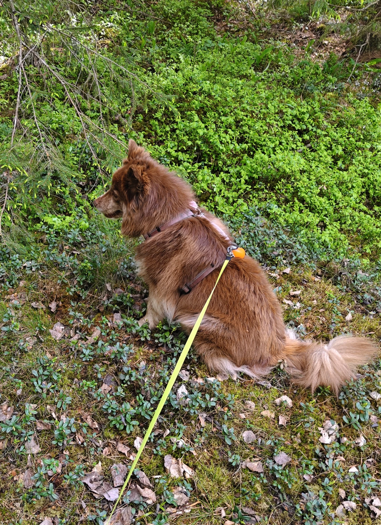 image-6