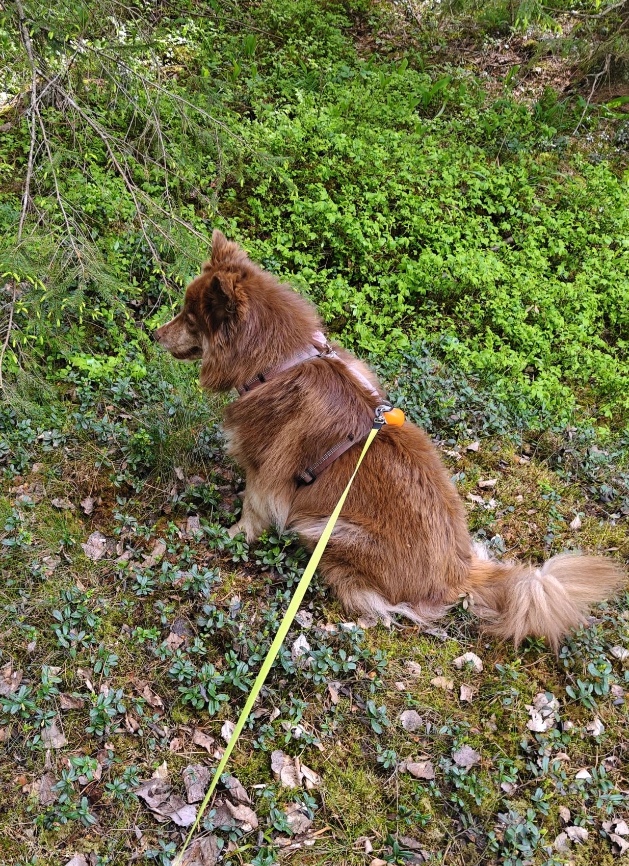 image-6