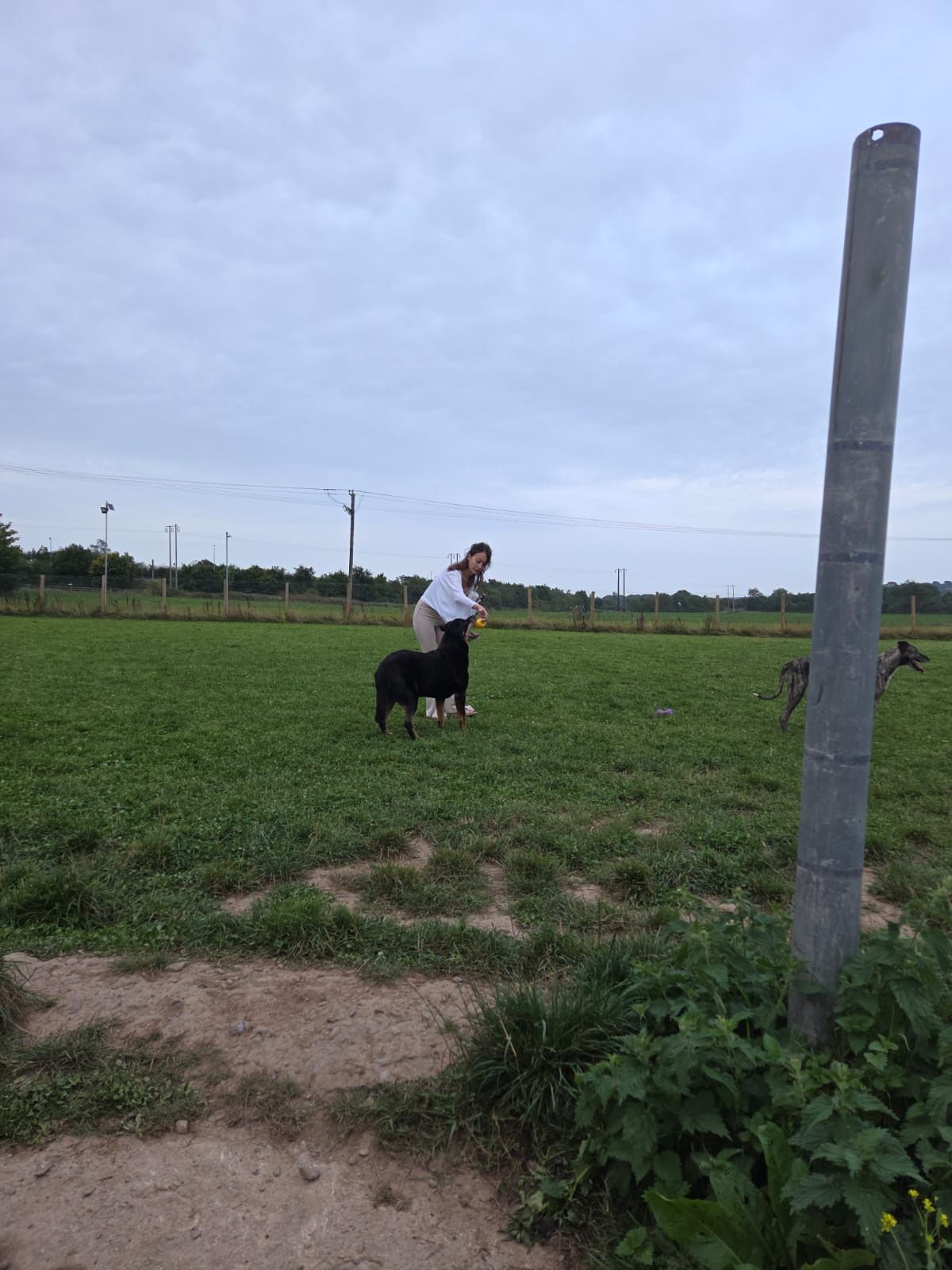 image-13
