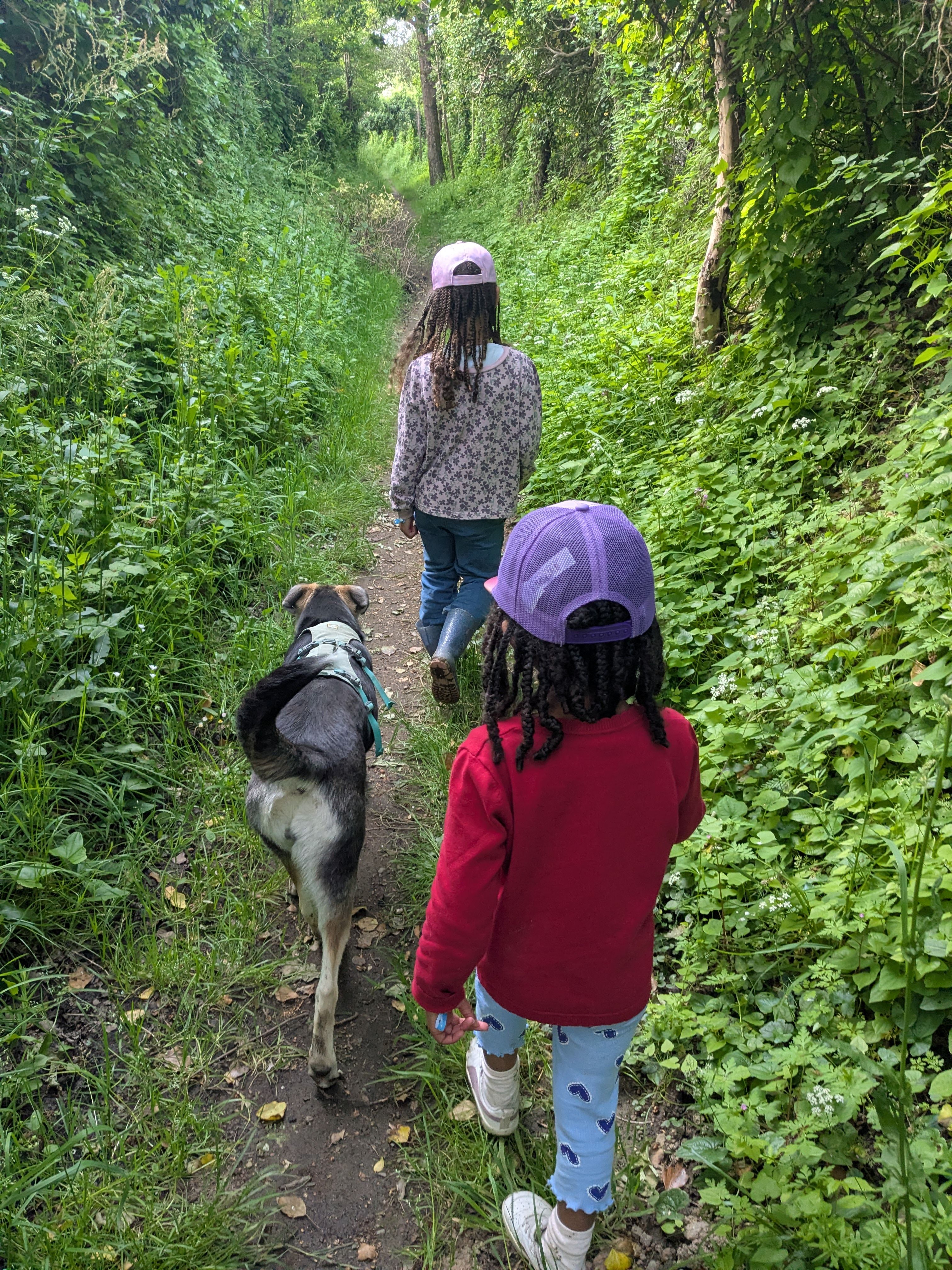 image-6