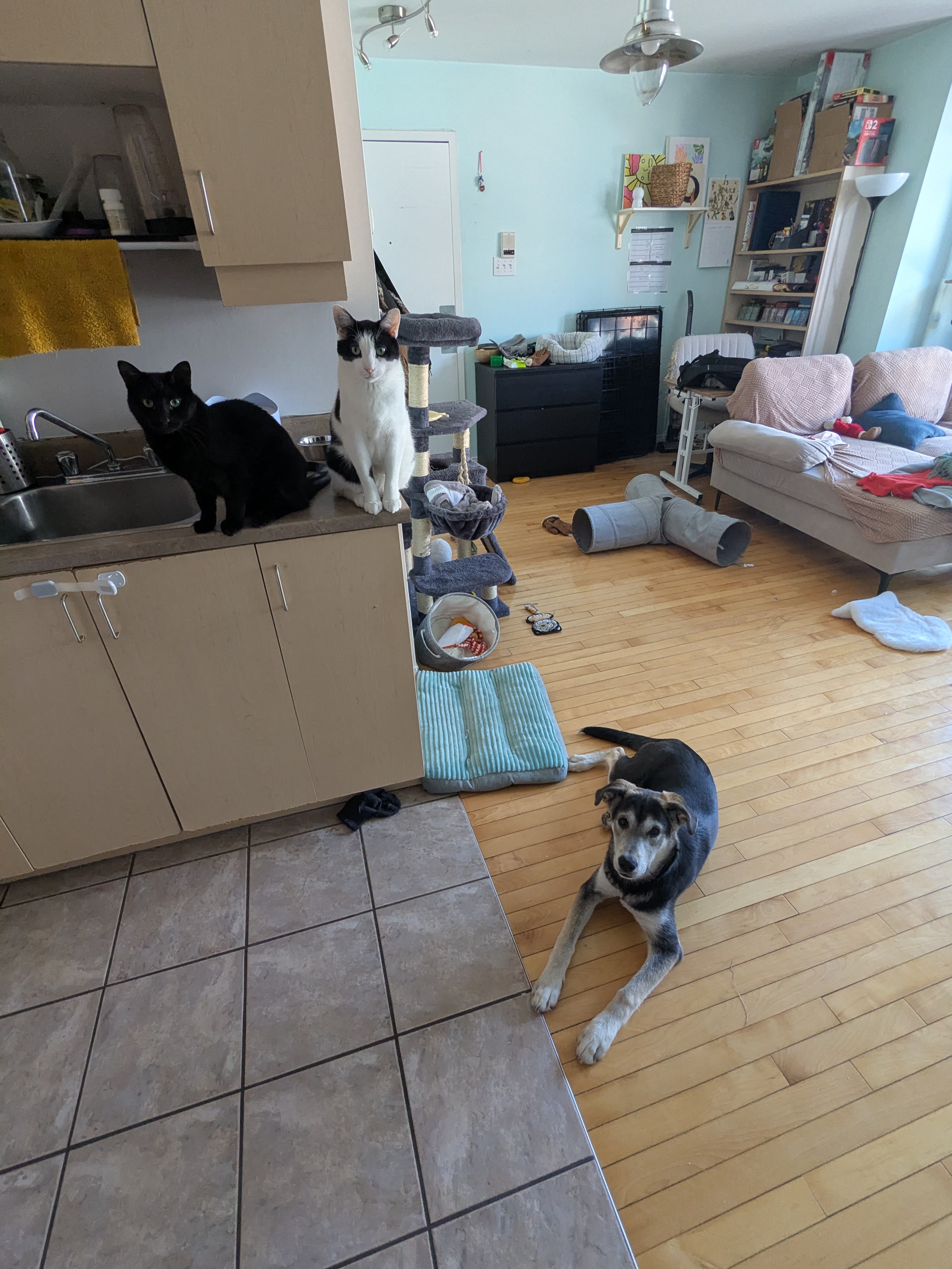 image-11