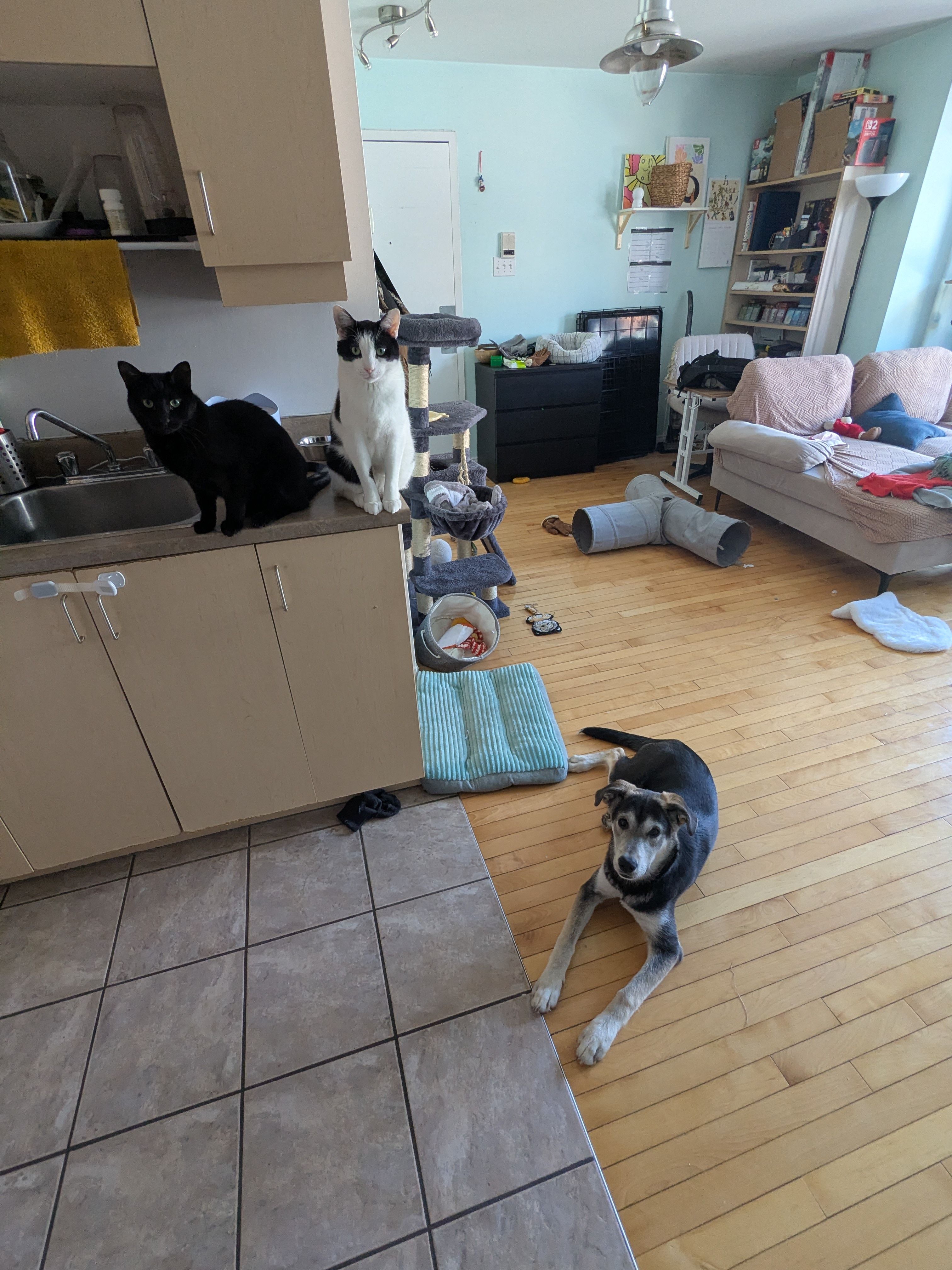 image-11