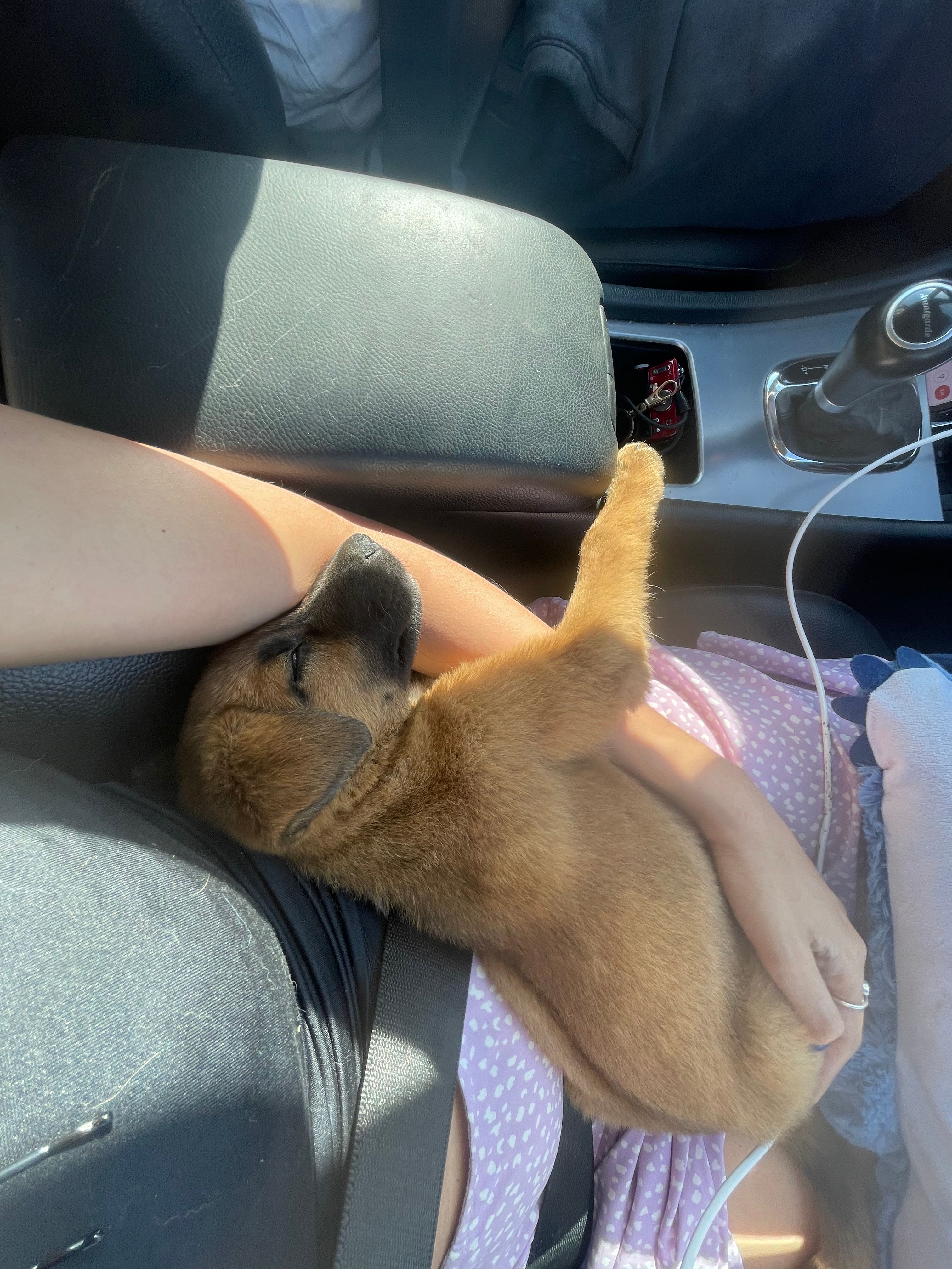 image-16