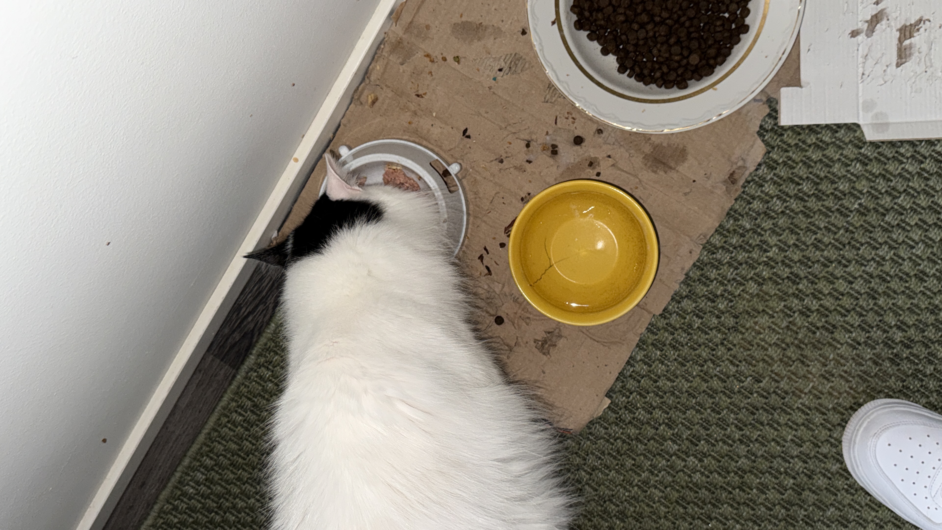 image-13