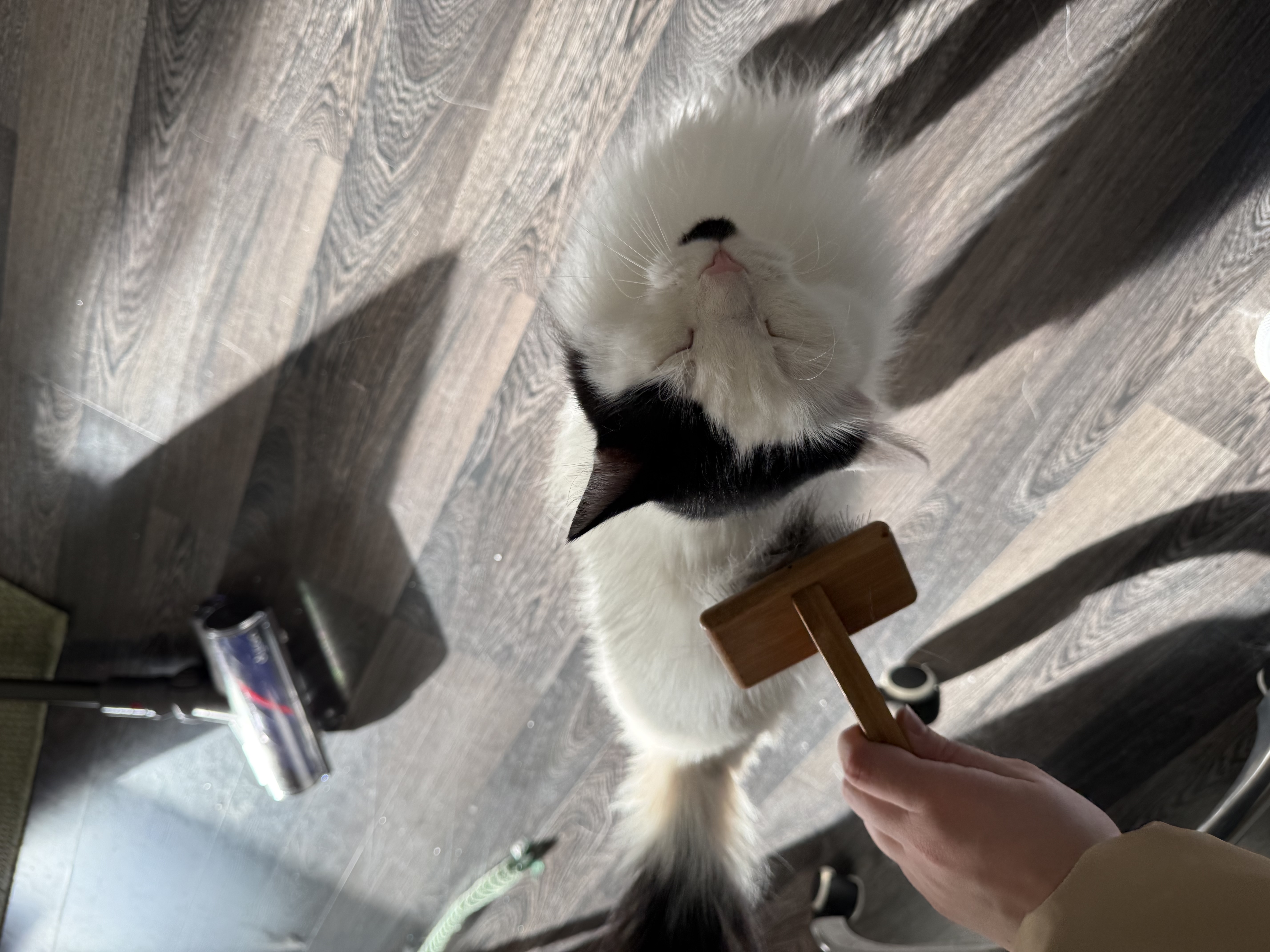 image-11