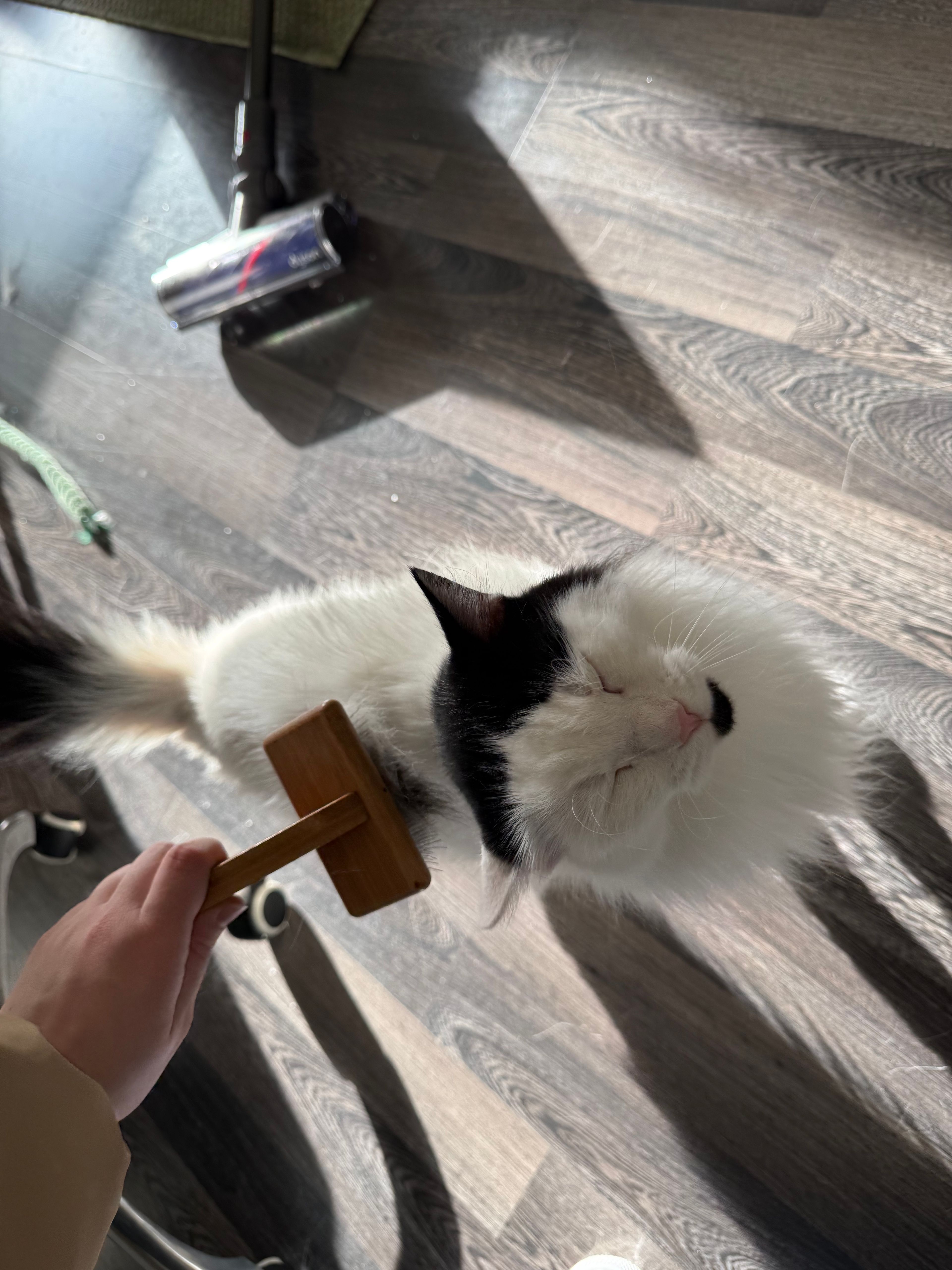 image-11