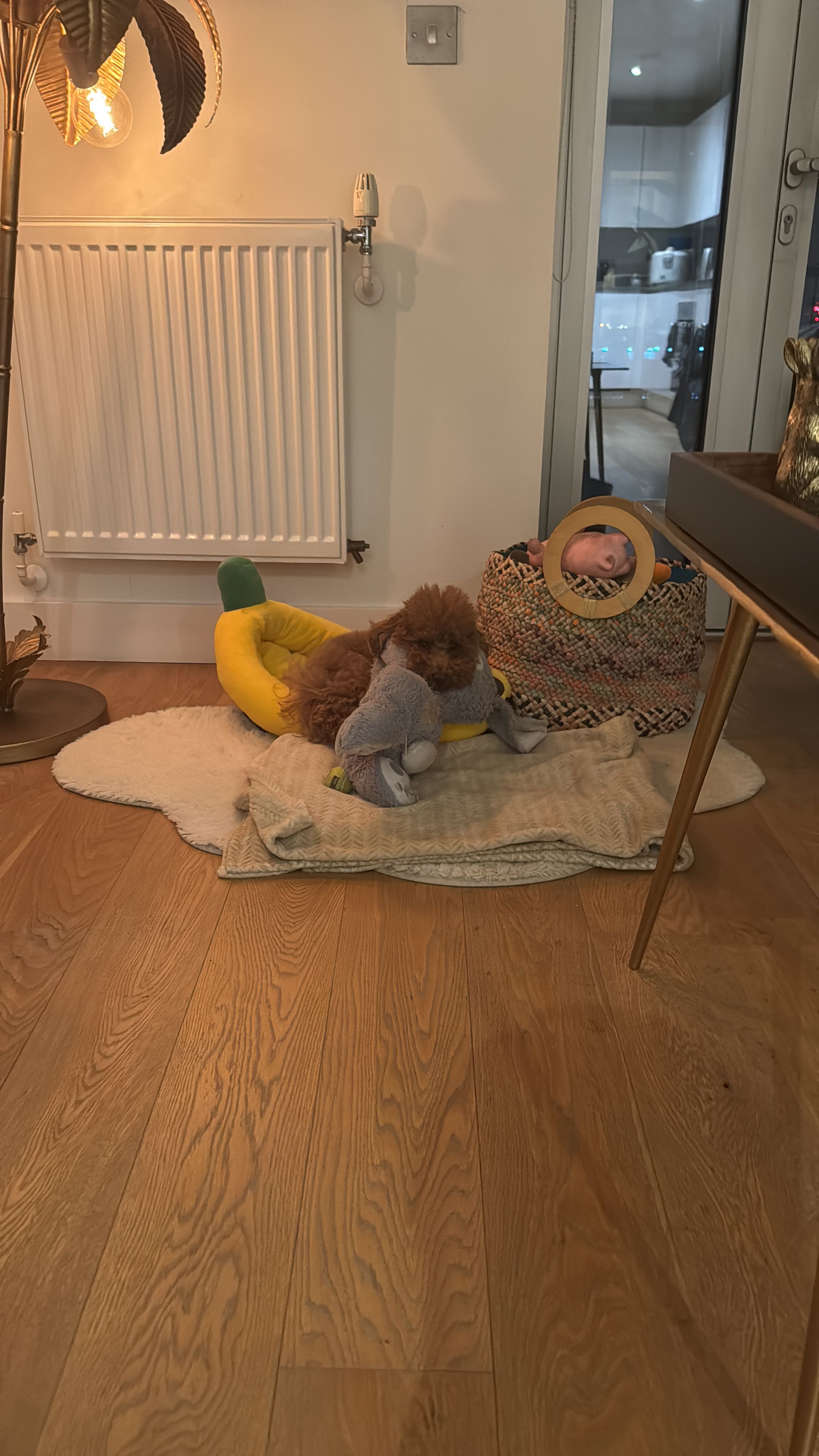image-14