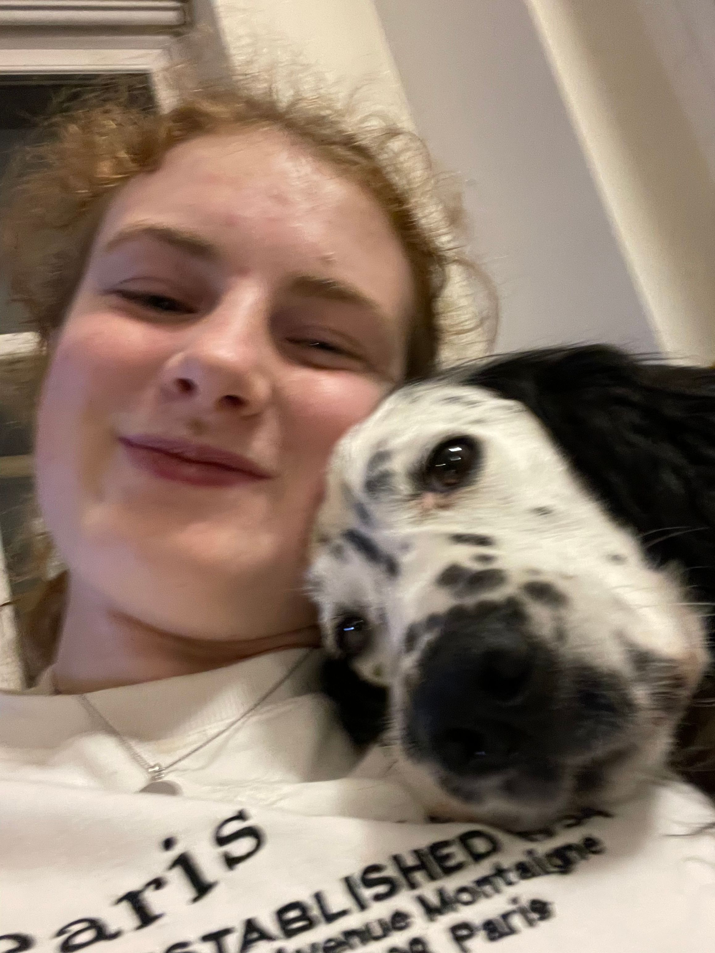image-6