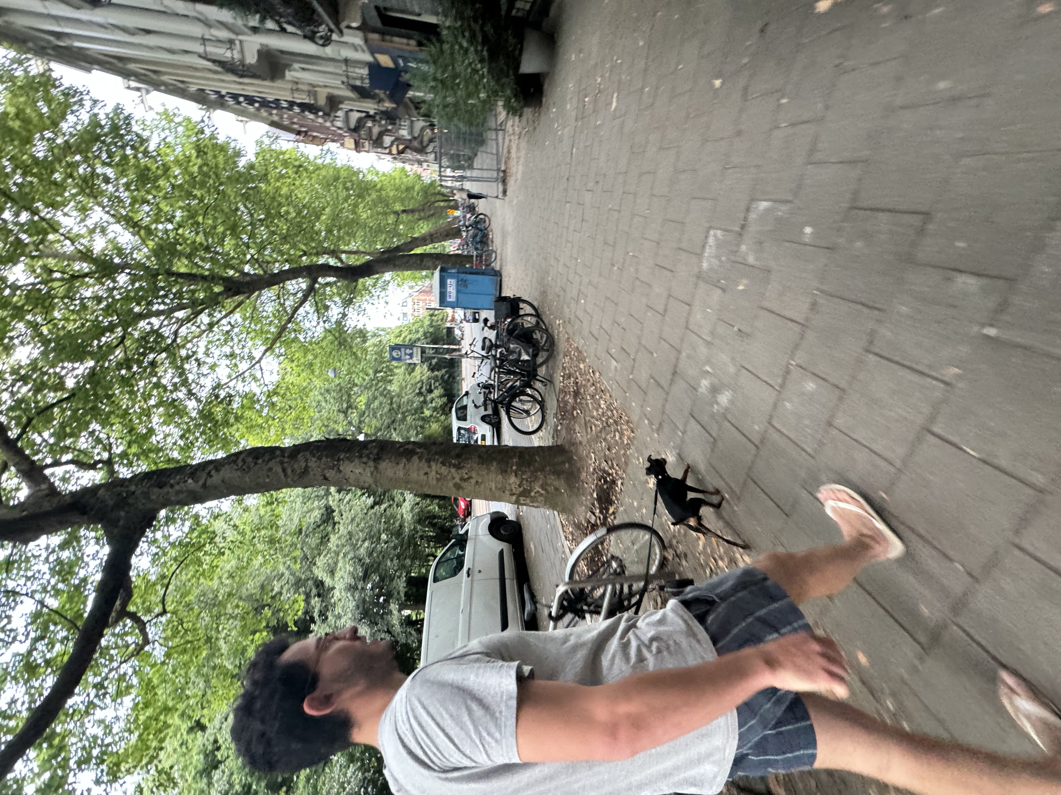 image-21