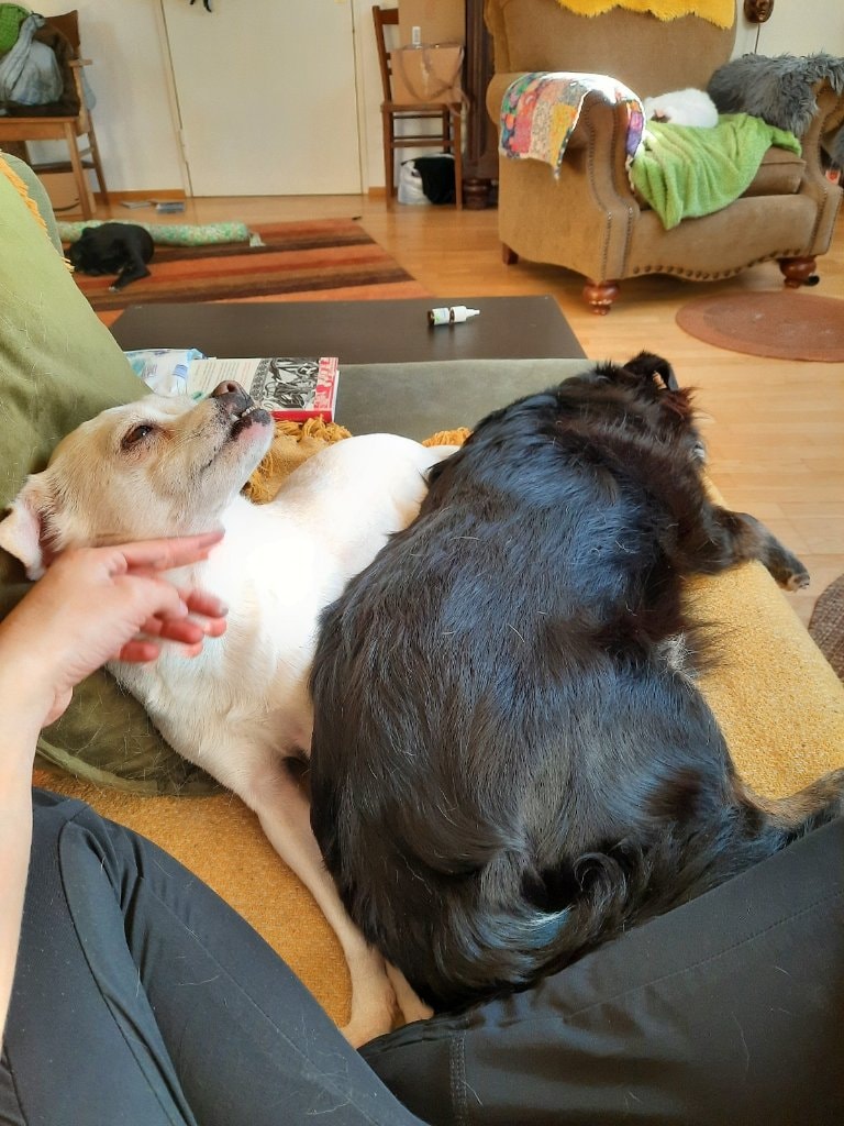 image-25