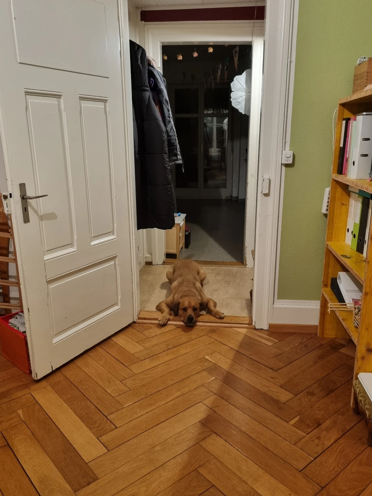 image-3