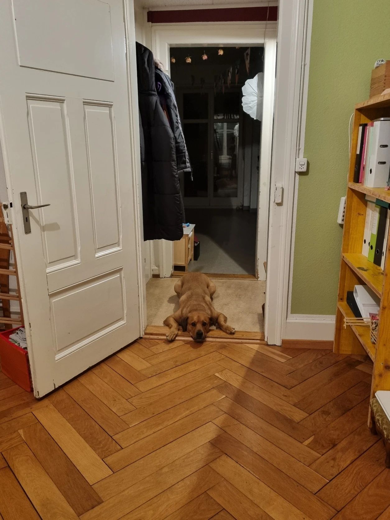 image-3