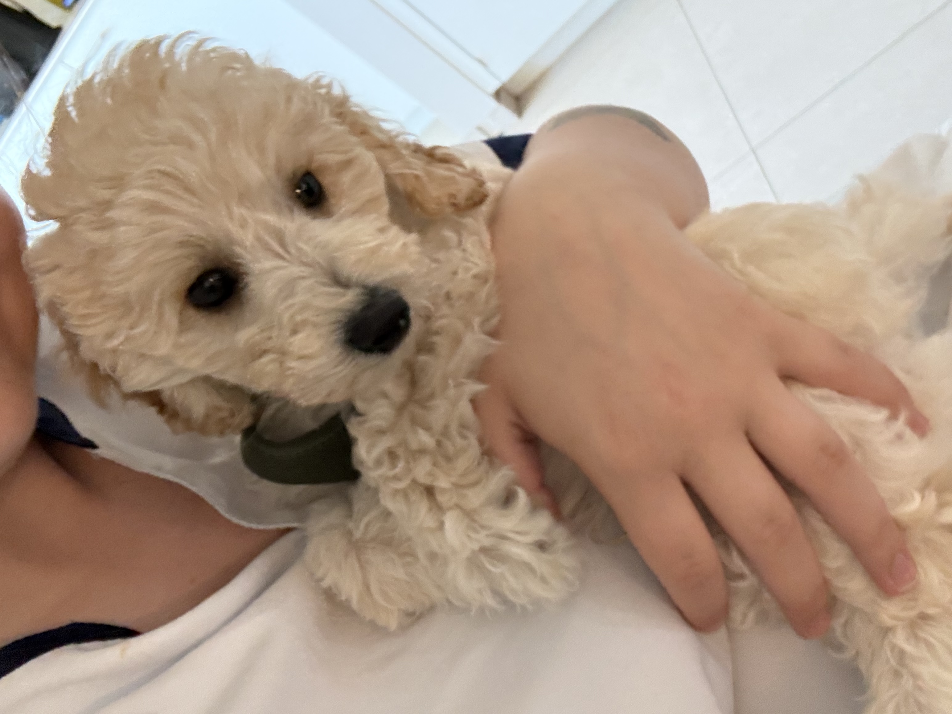 image-6