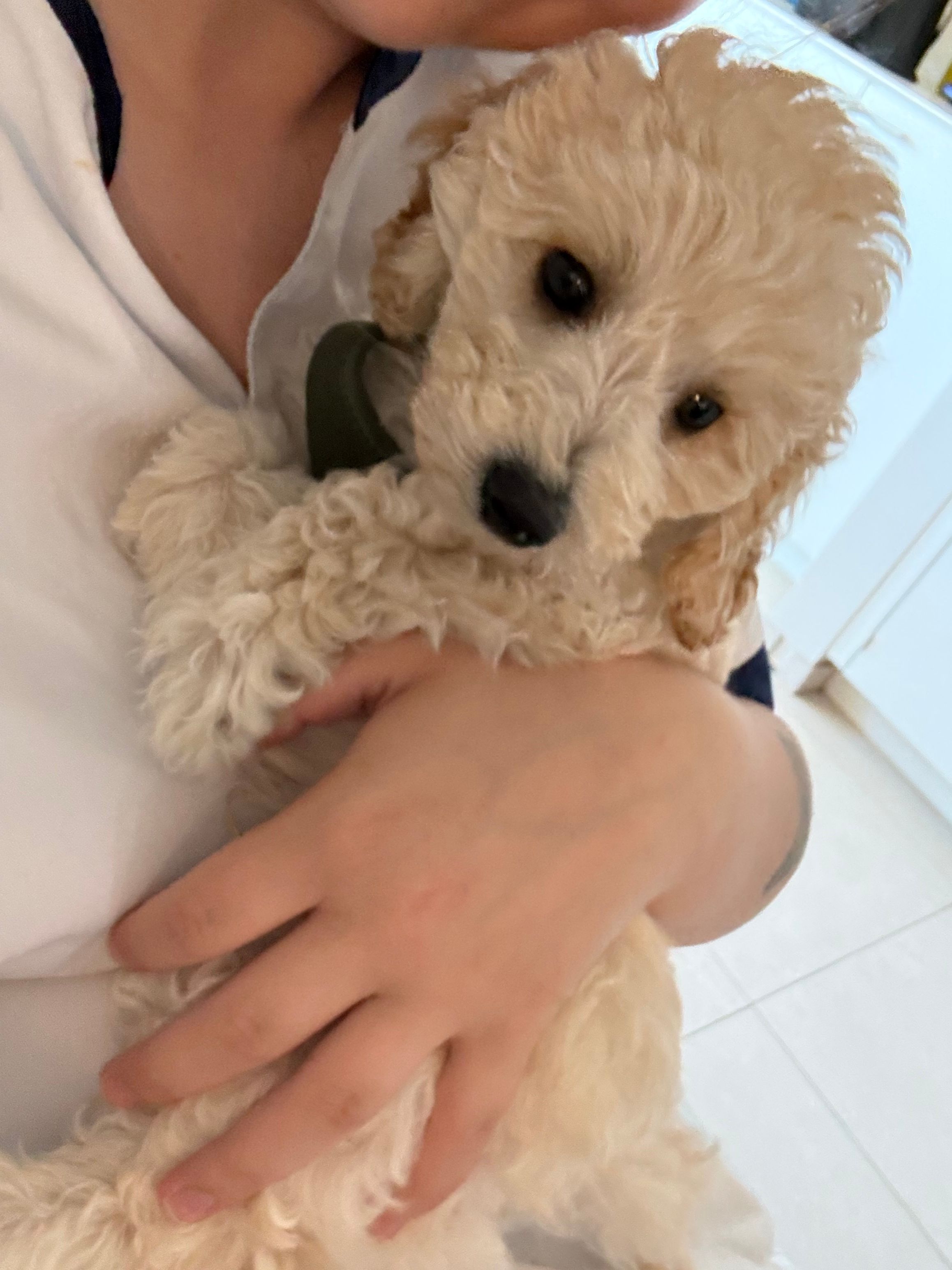 image-6