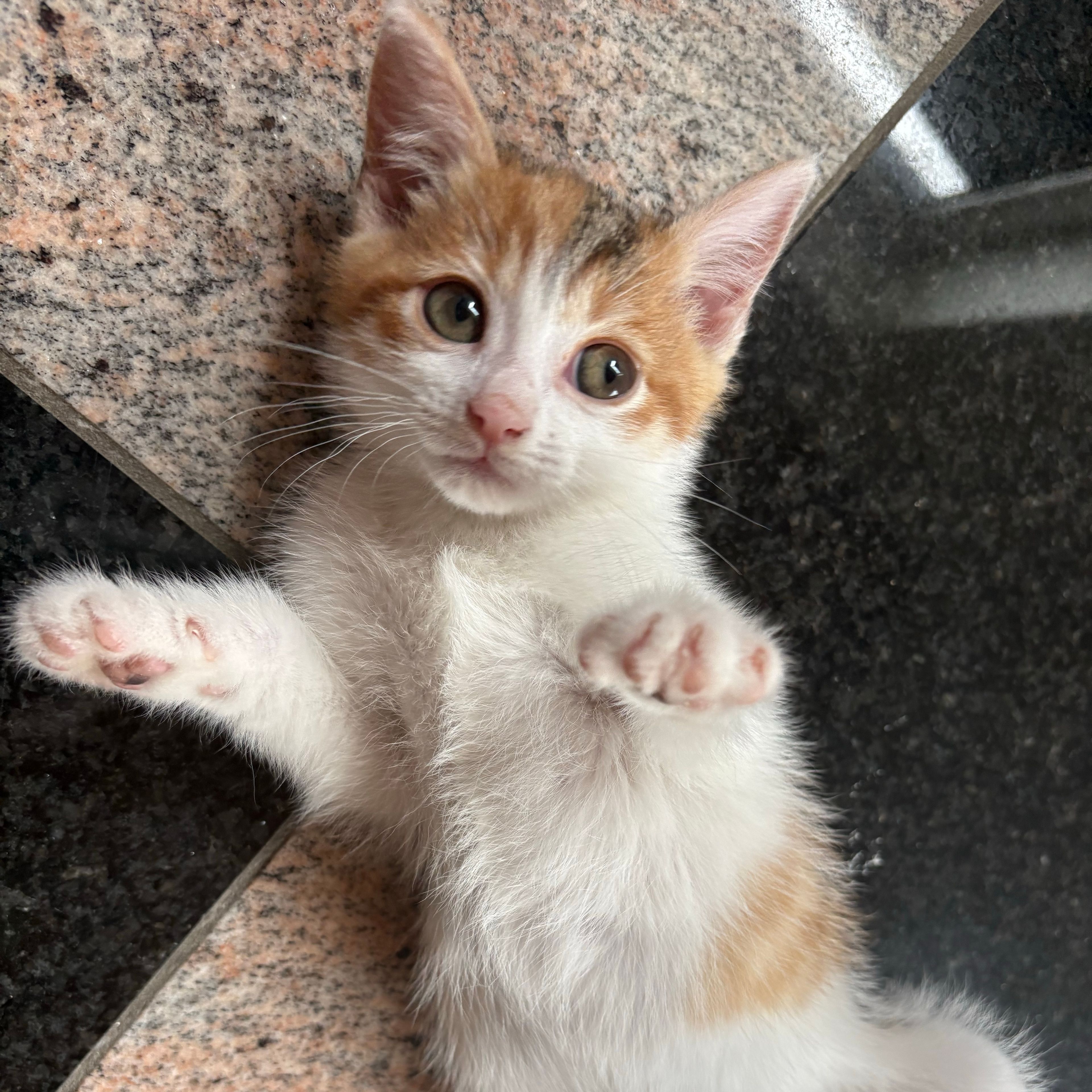 Kiki