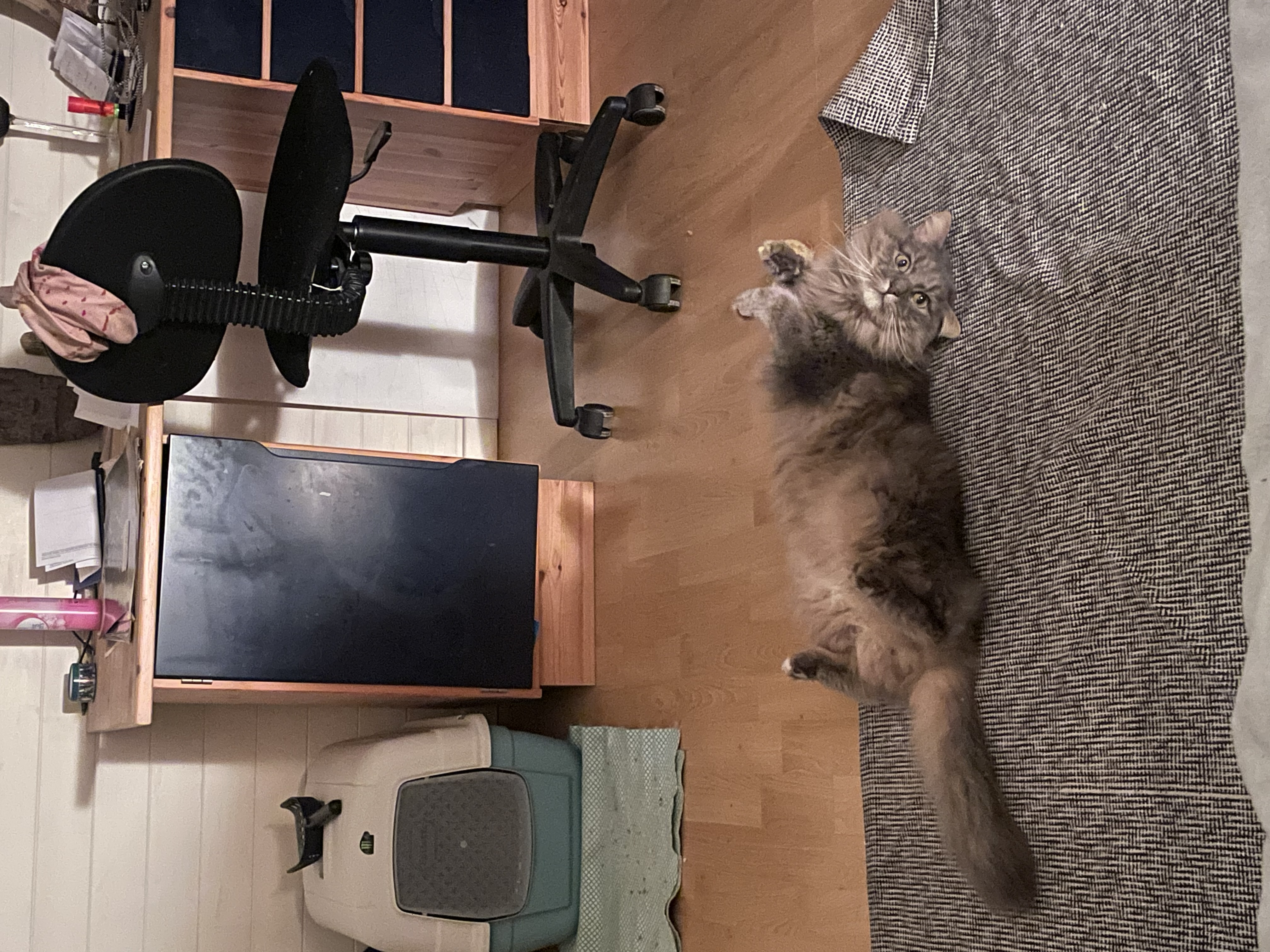 image-16