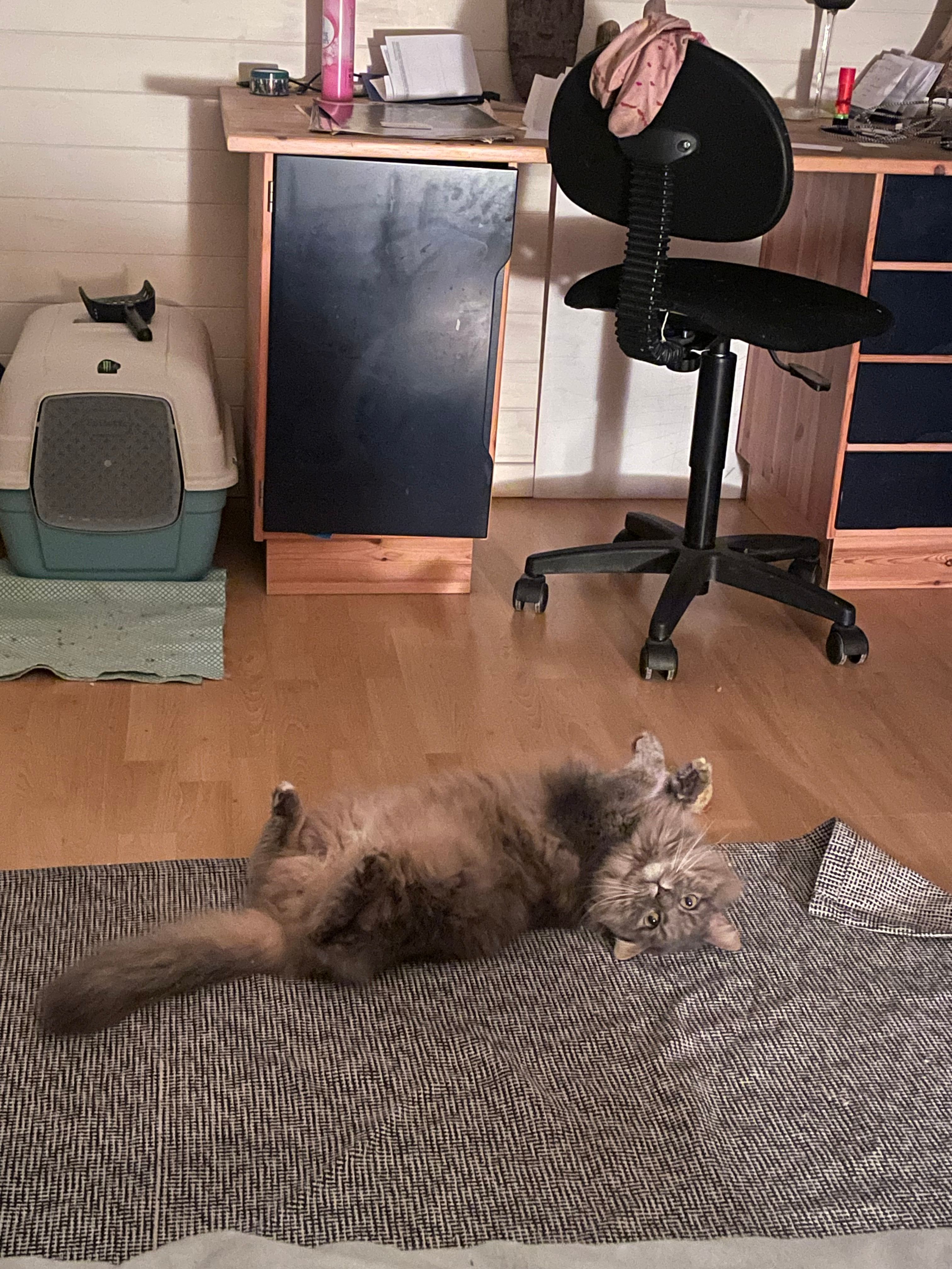 image-16
