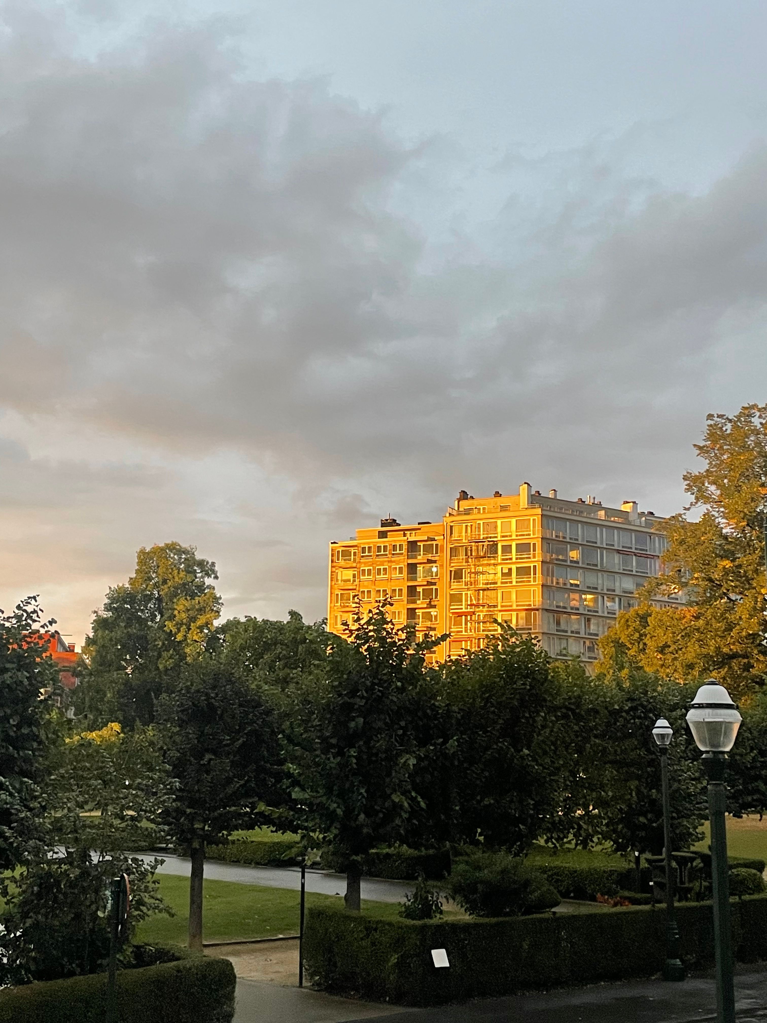 image-17