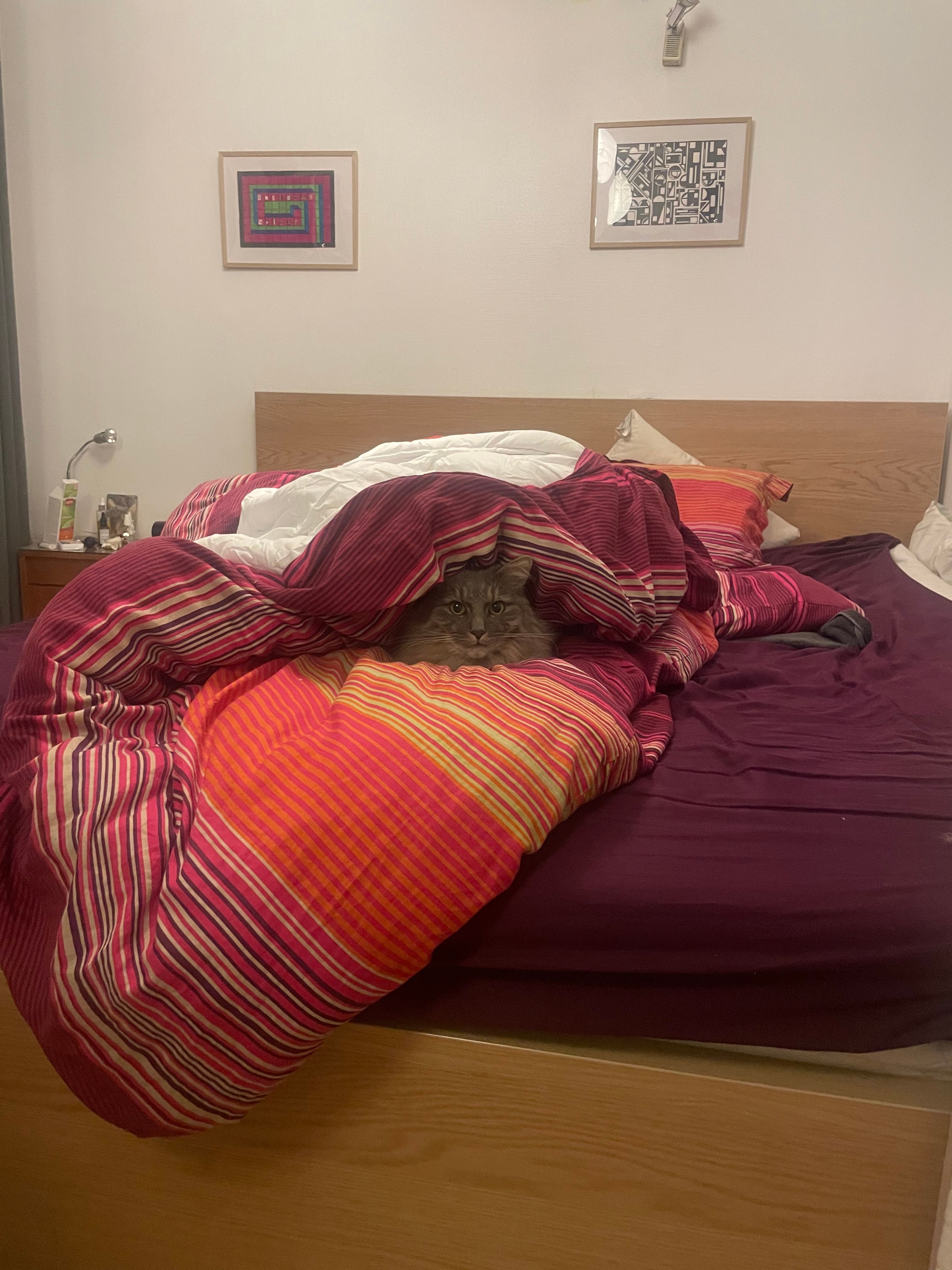 image-19