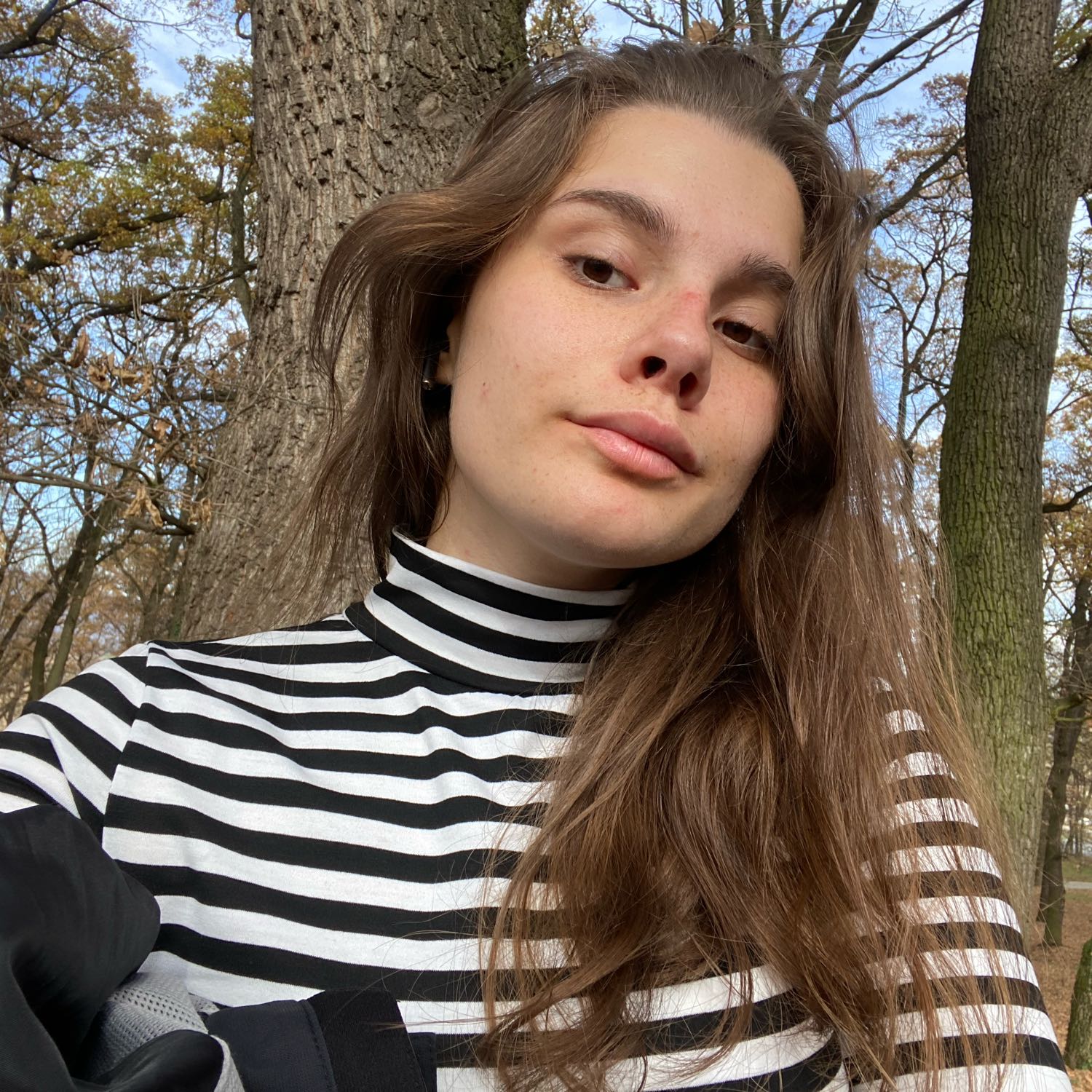 Anca
