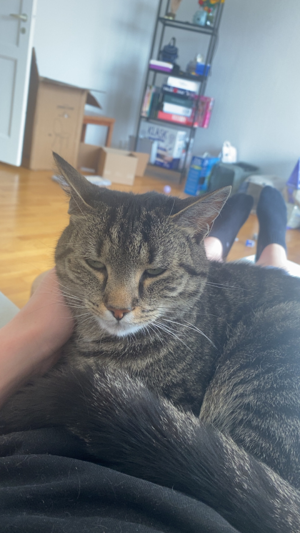 image-5