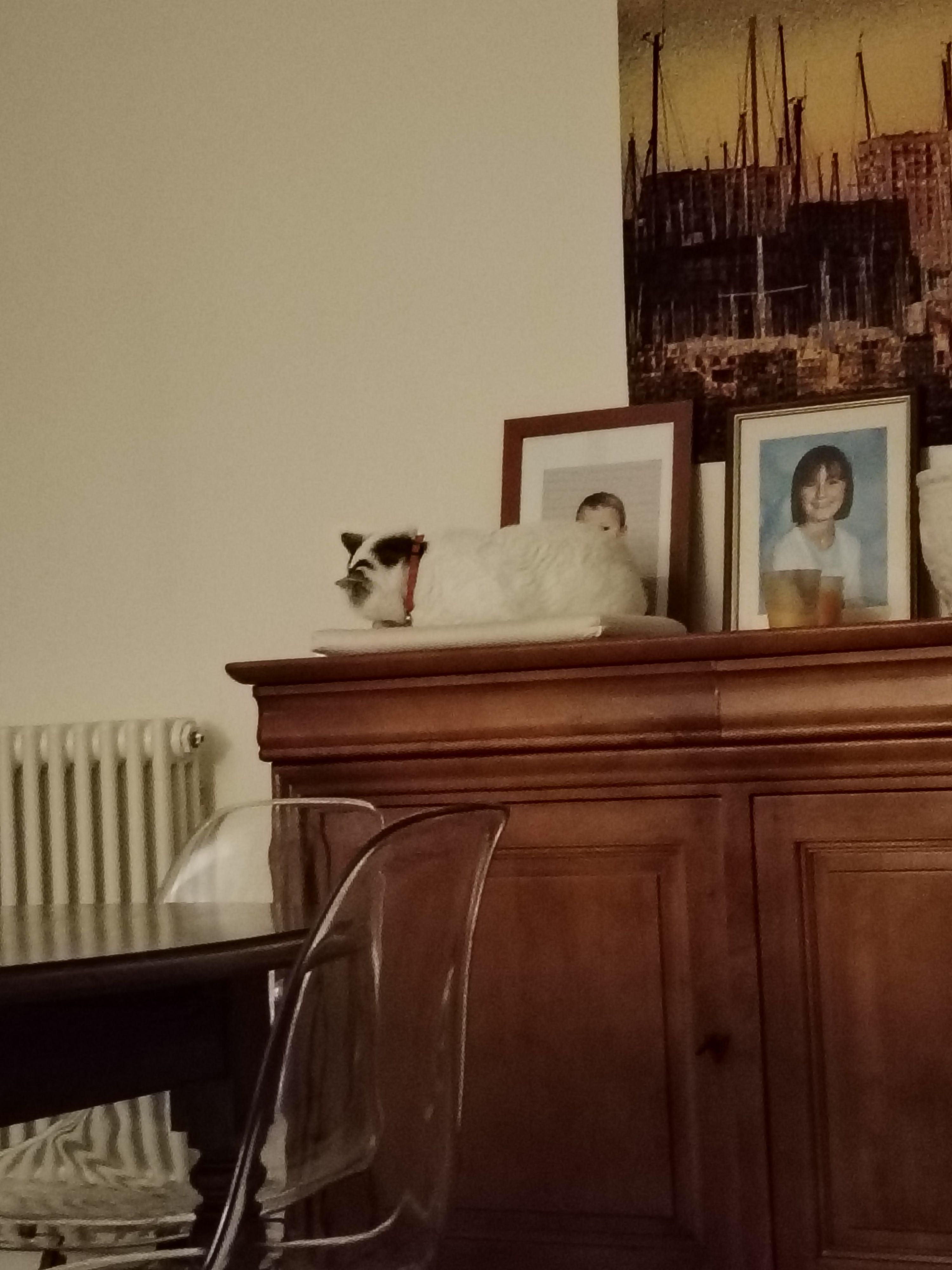 image-3