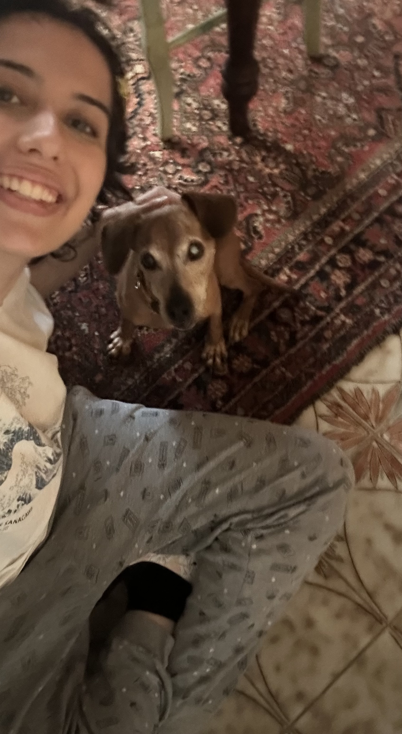 image-13