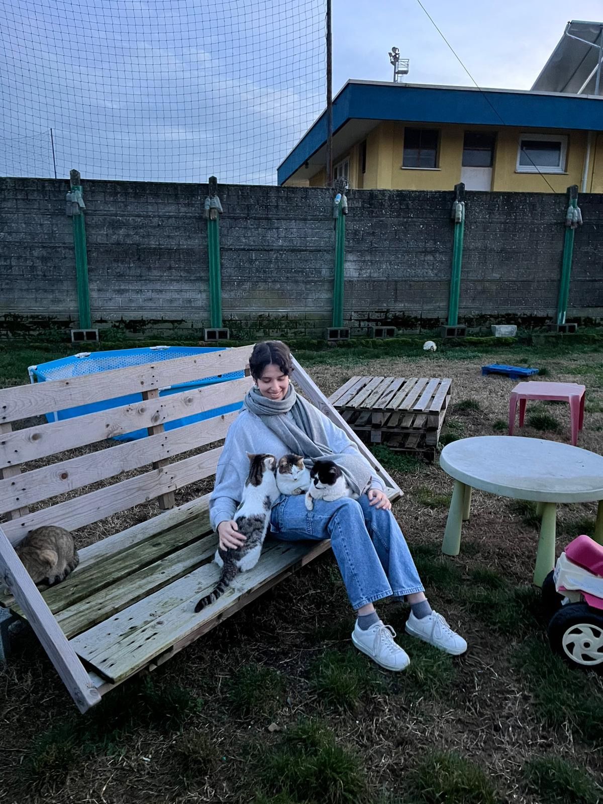 image-4