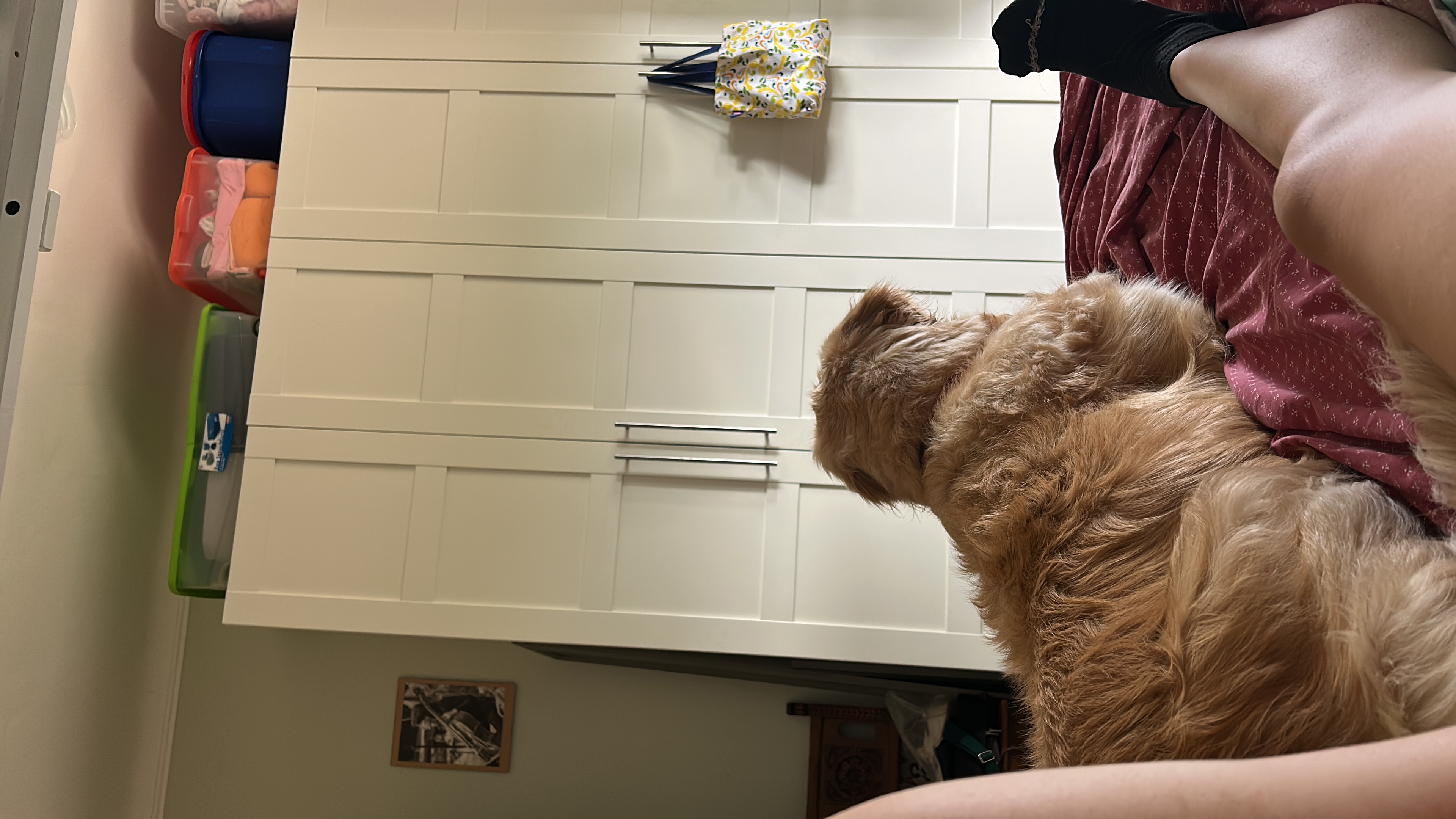 image-16
