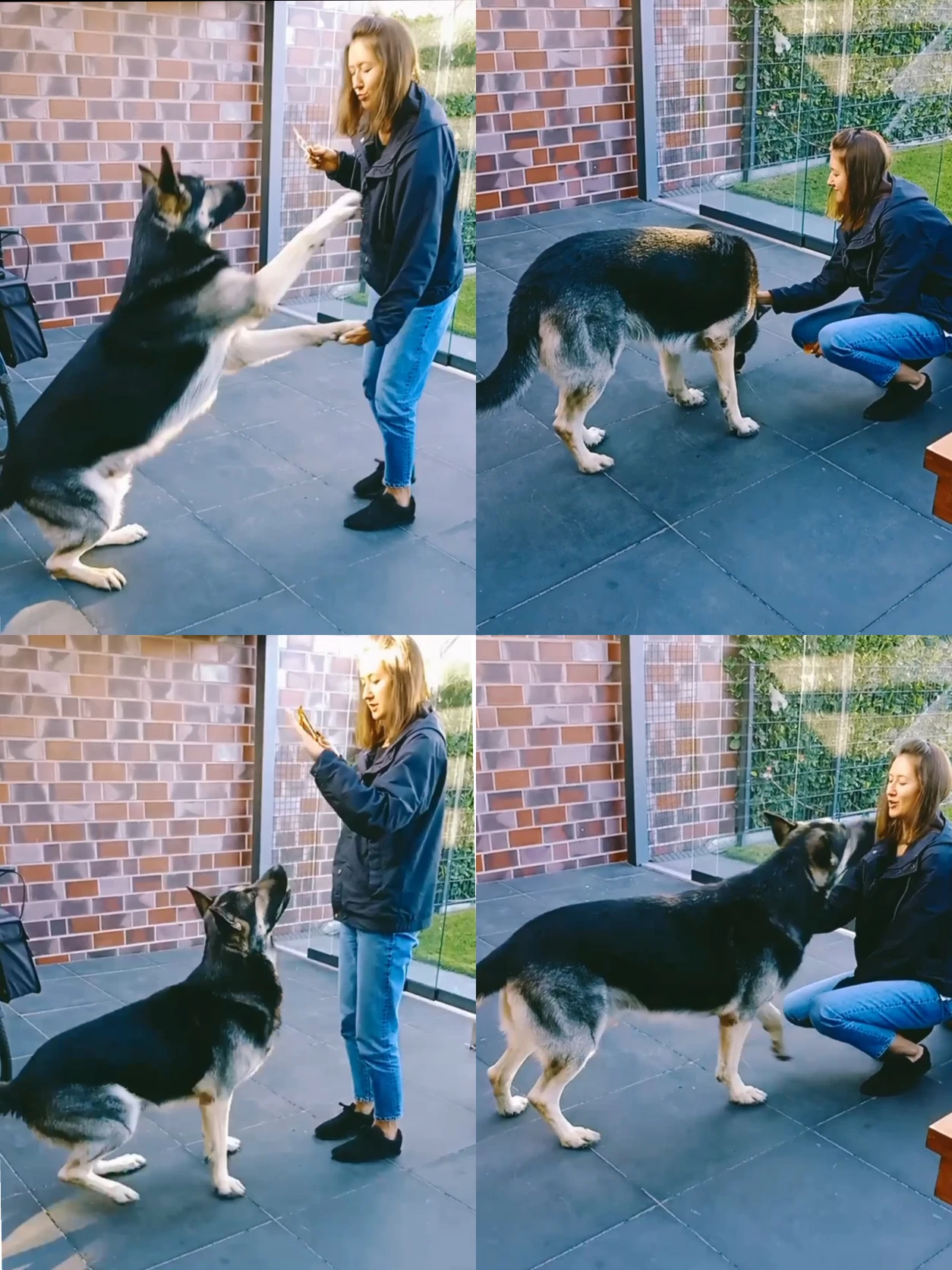 image-7