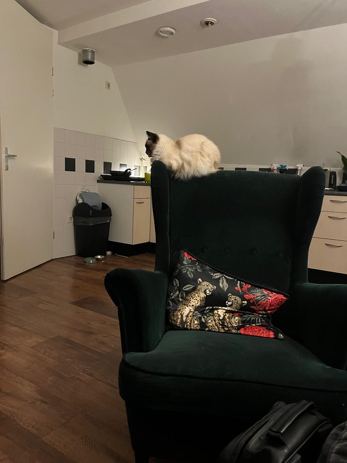 image-16