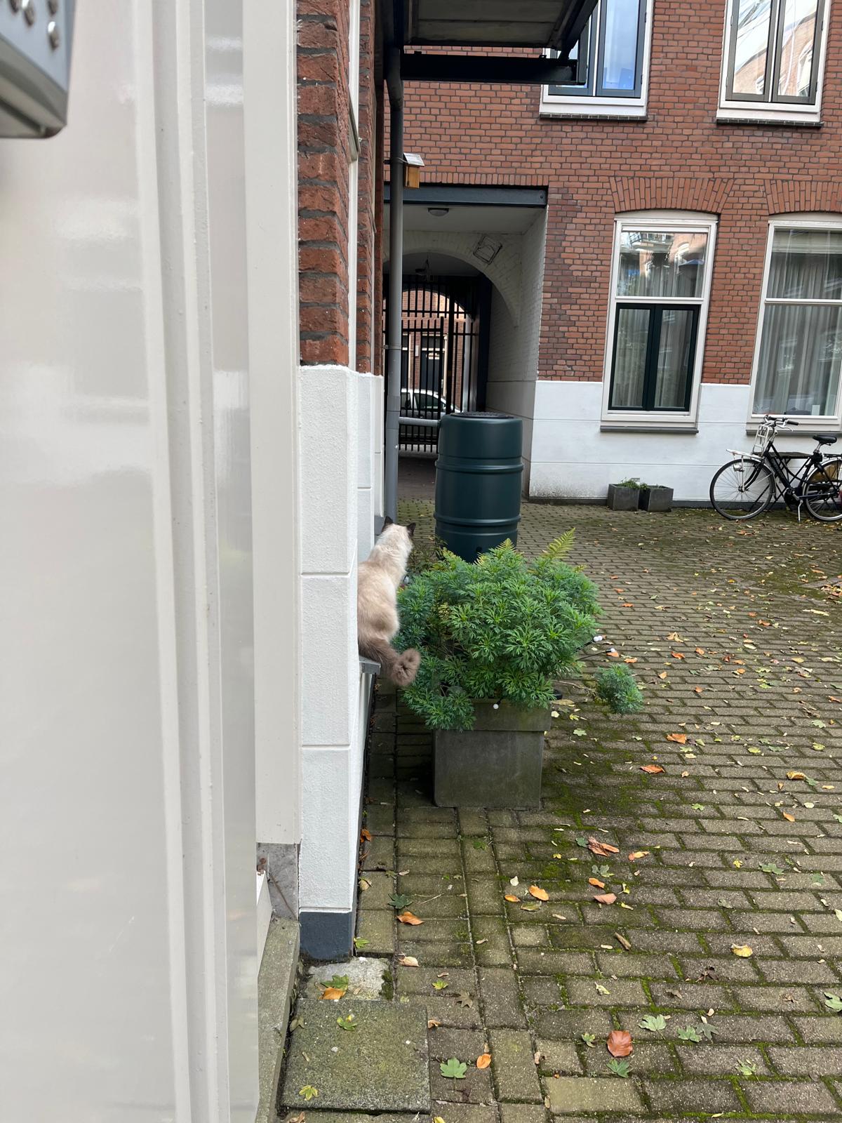 image-15