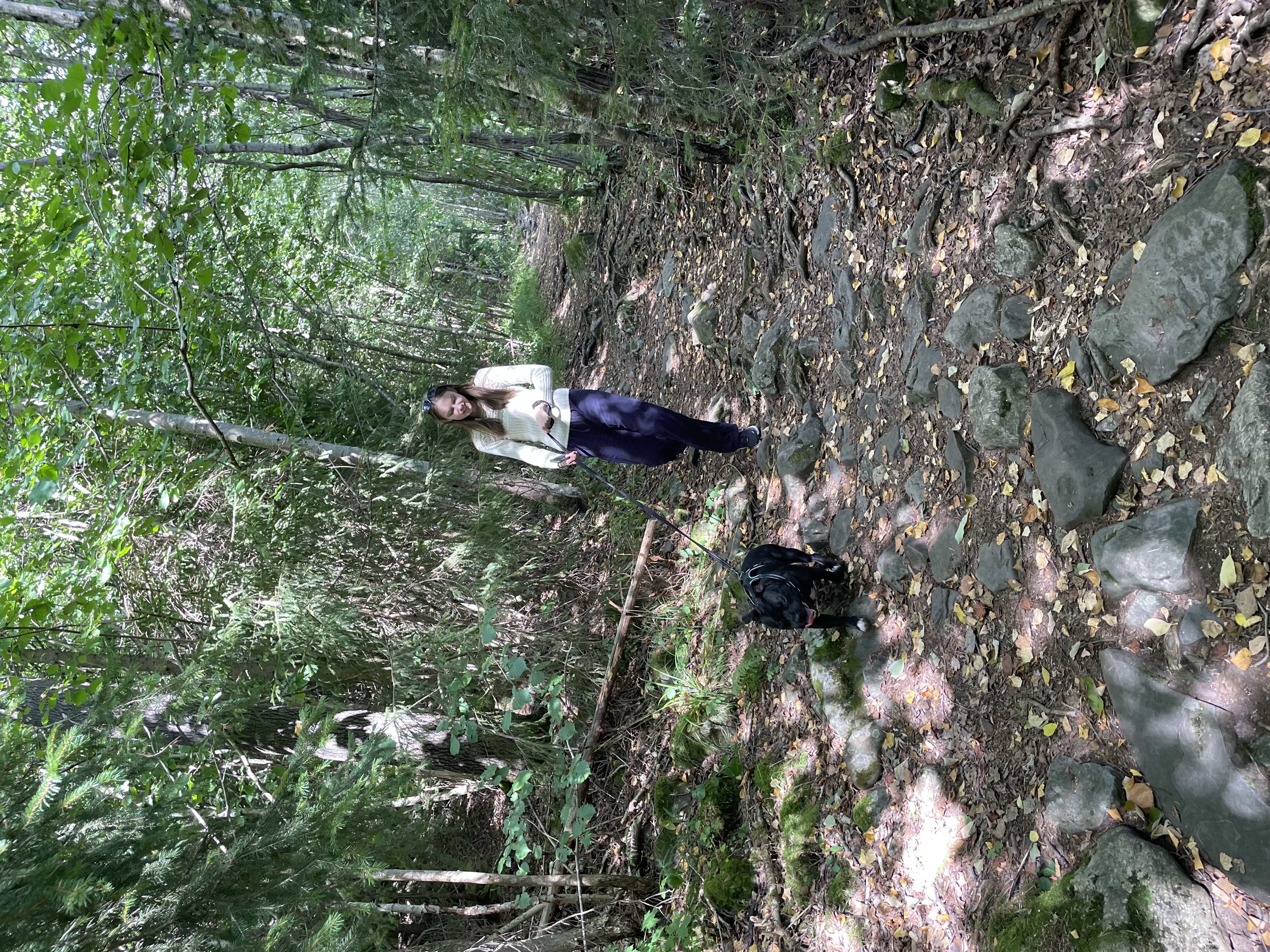 image-4