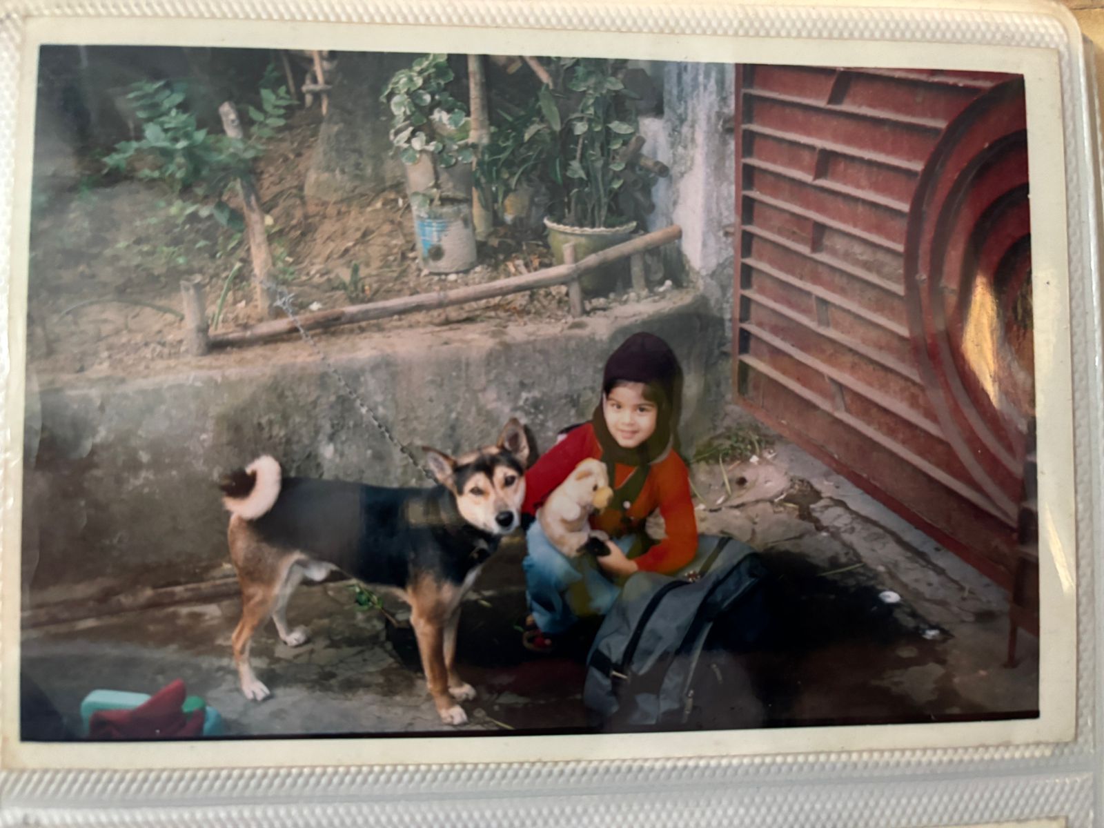image-2