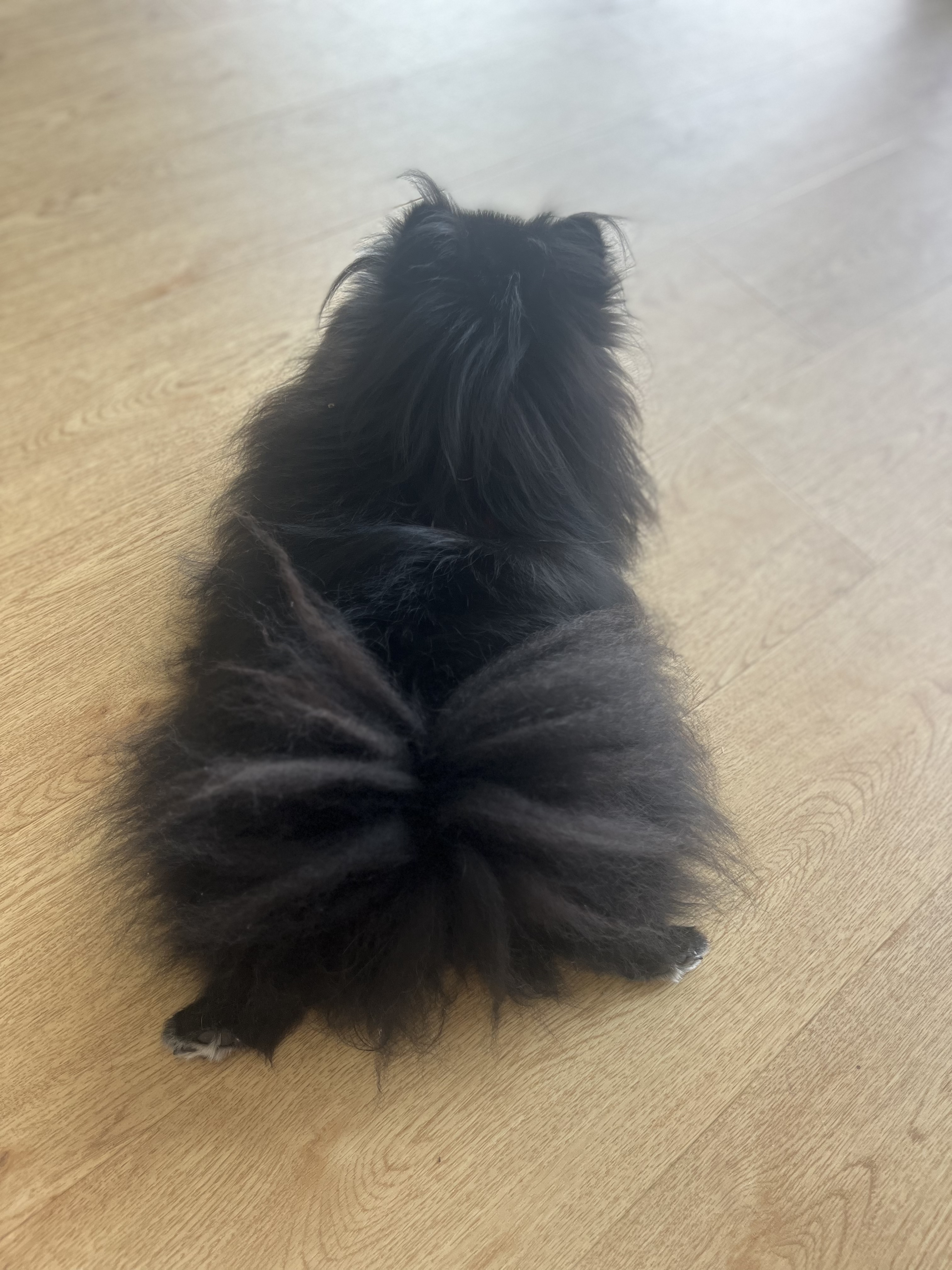 image-9