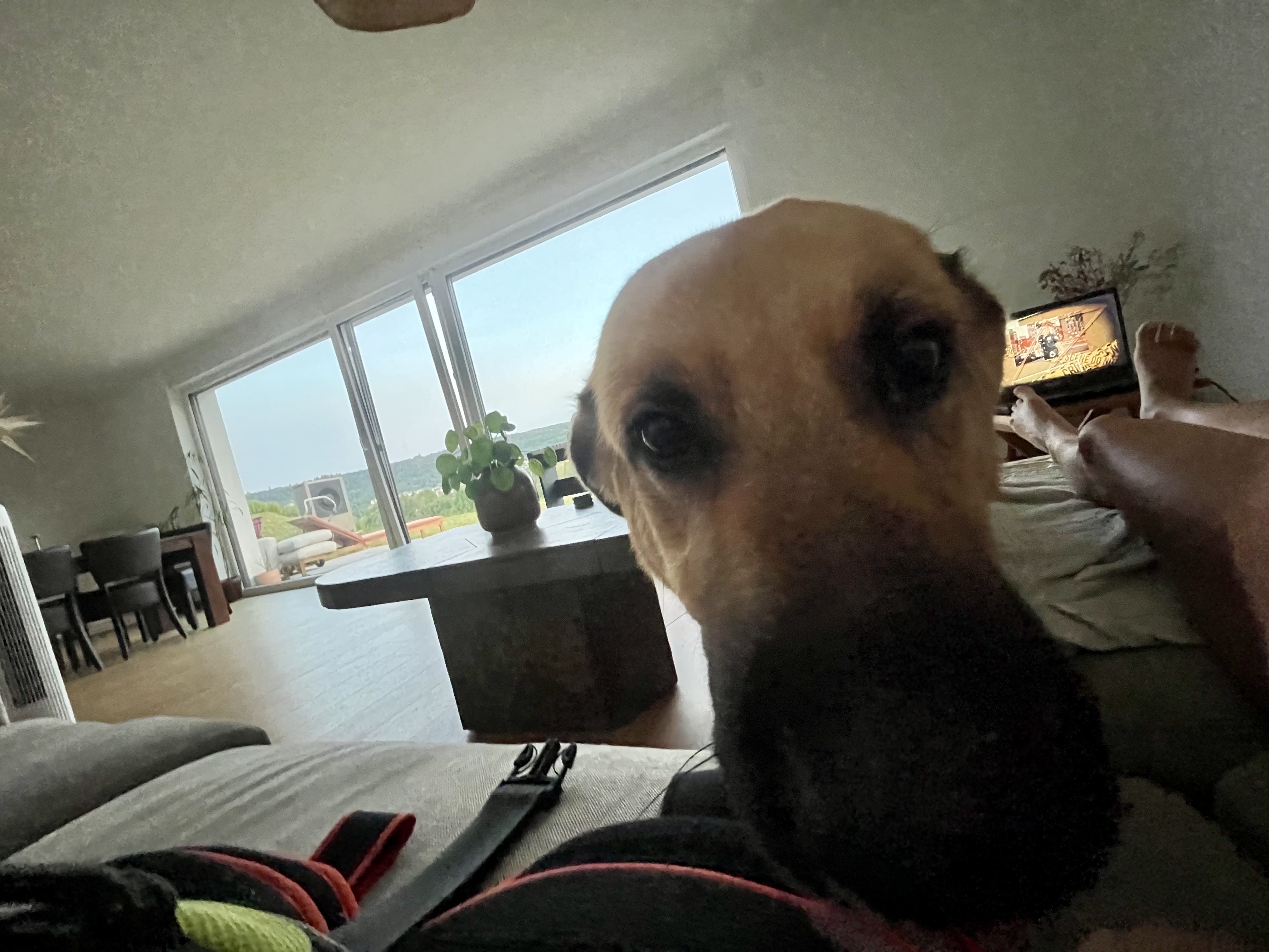 image-16