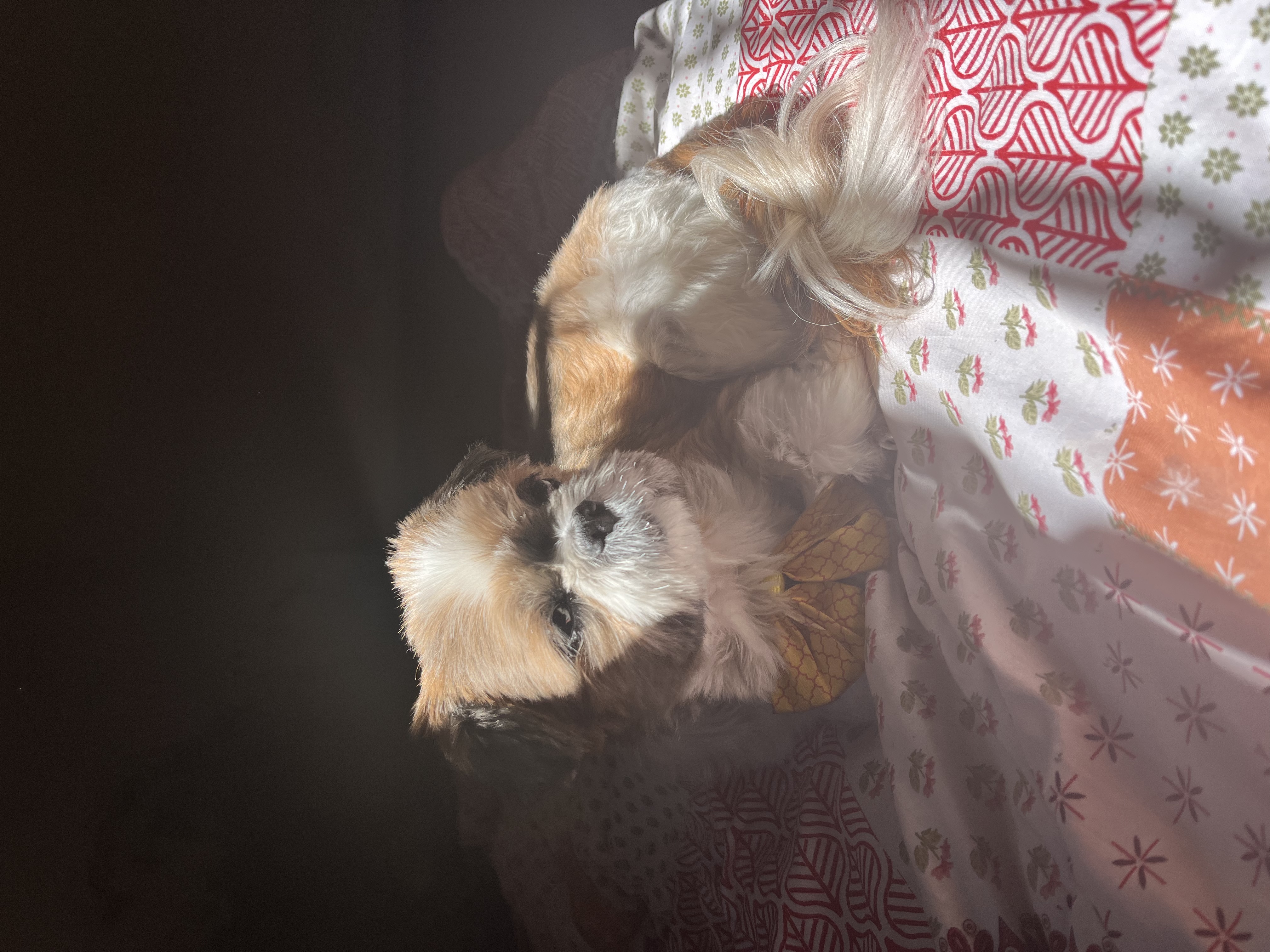 image-5